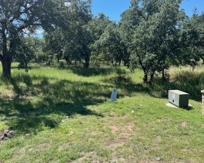 Mature trees and native grasses blanket this gene