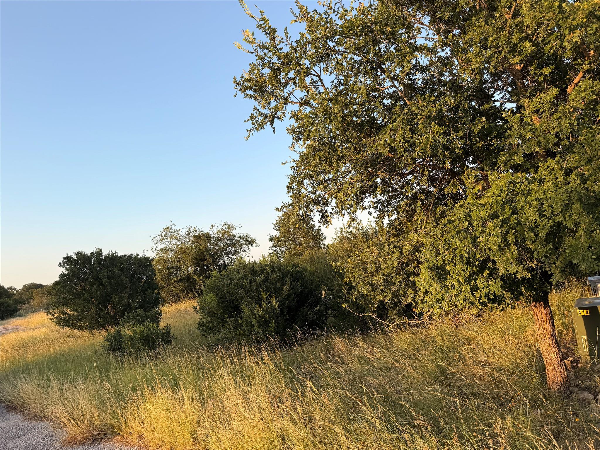 A tranquil rural vista unfolds with abundant tree