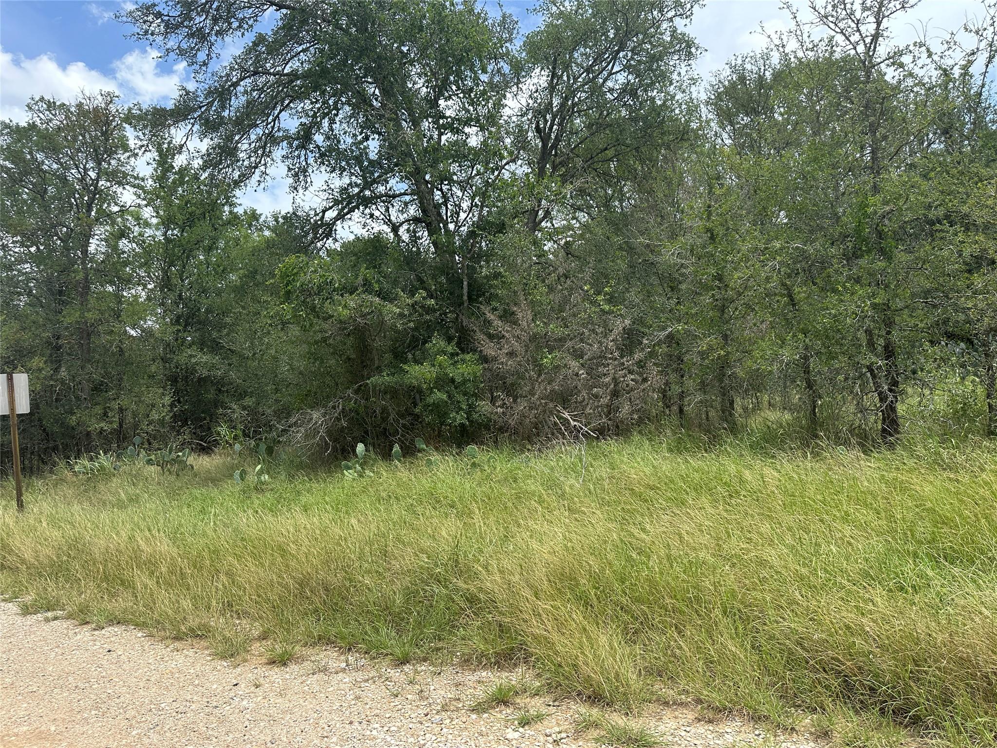Mature trees and abundant natural greenery provid