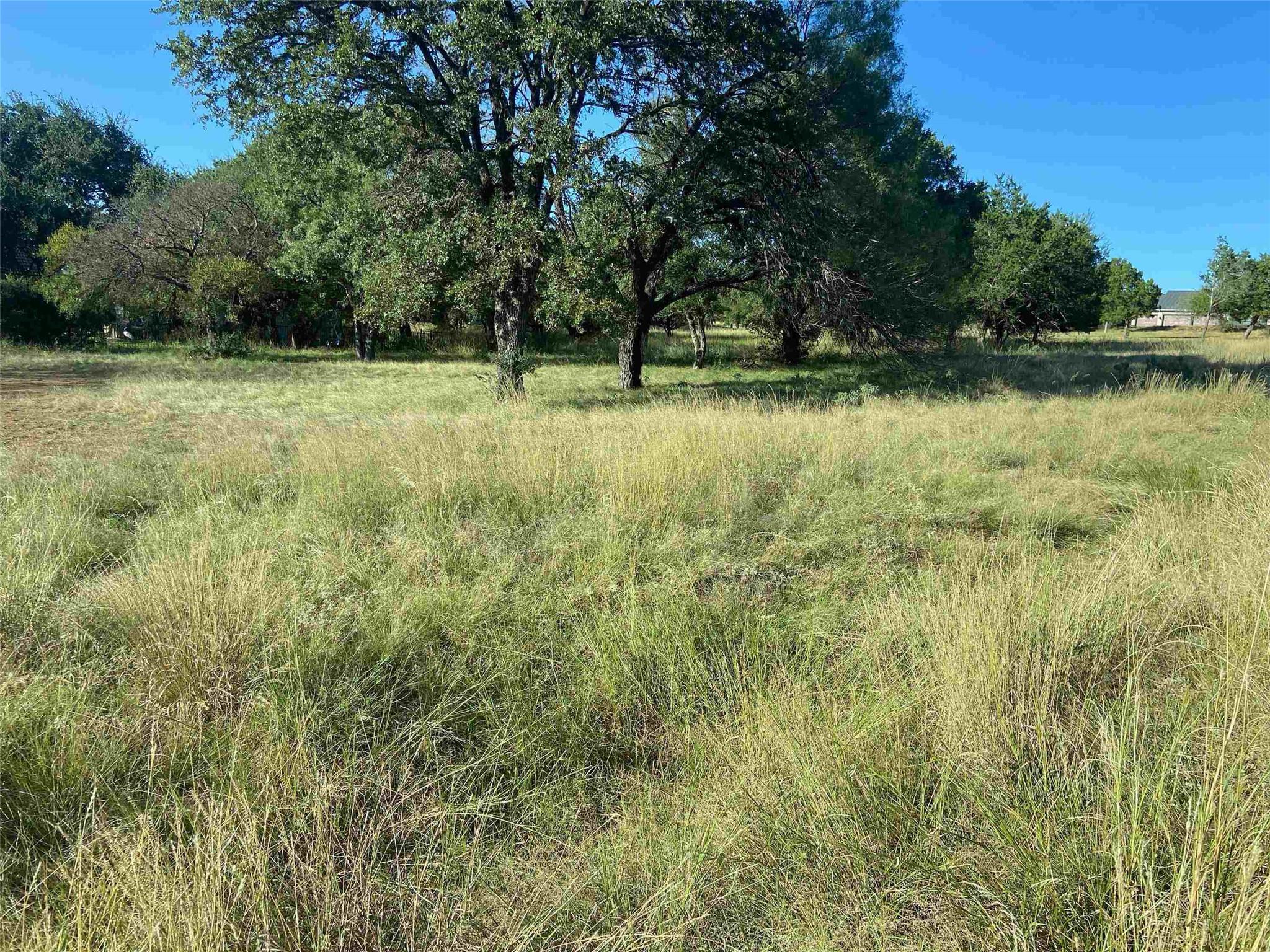 Mature trees frame this verdant, undeveloped lot,