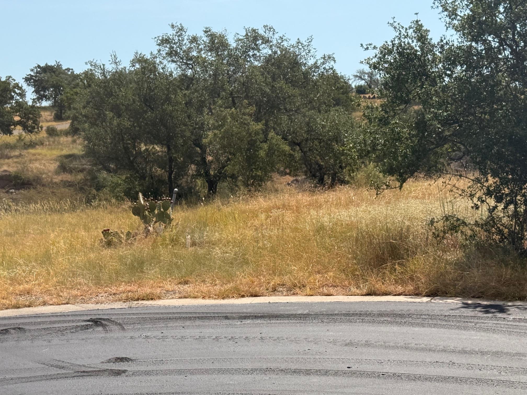 Mature trees and native grasses adorn this genero