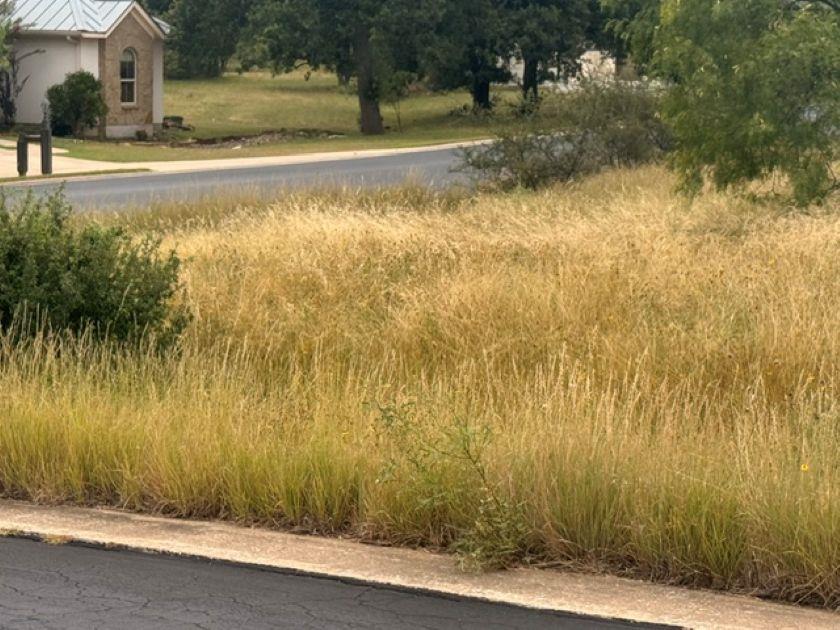 An ample plot offers potential for a bespoke dwel
