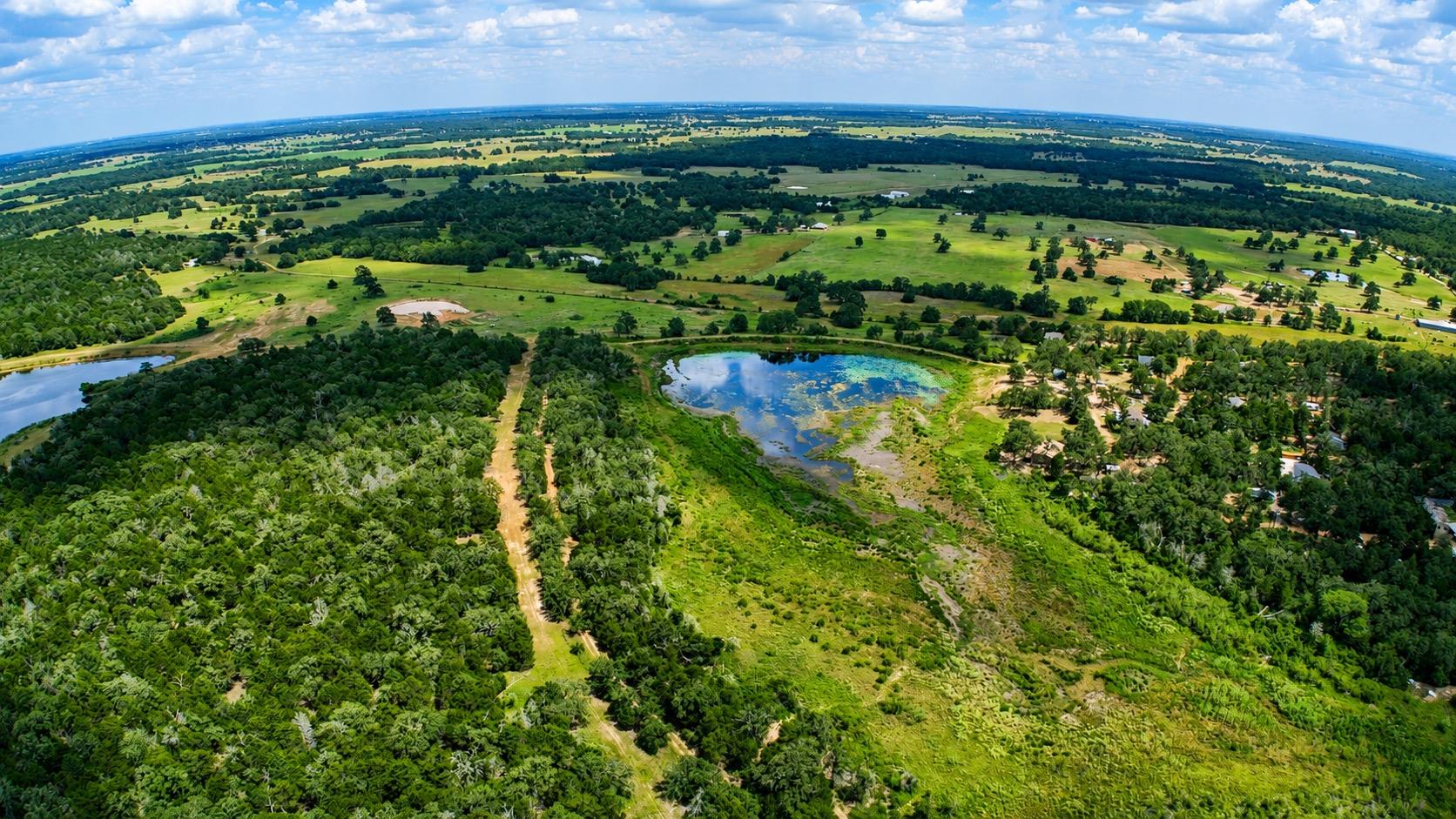 Vast green acreage unfolds with dense woodlands, 