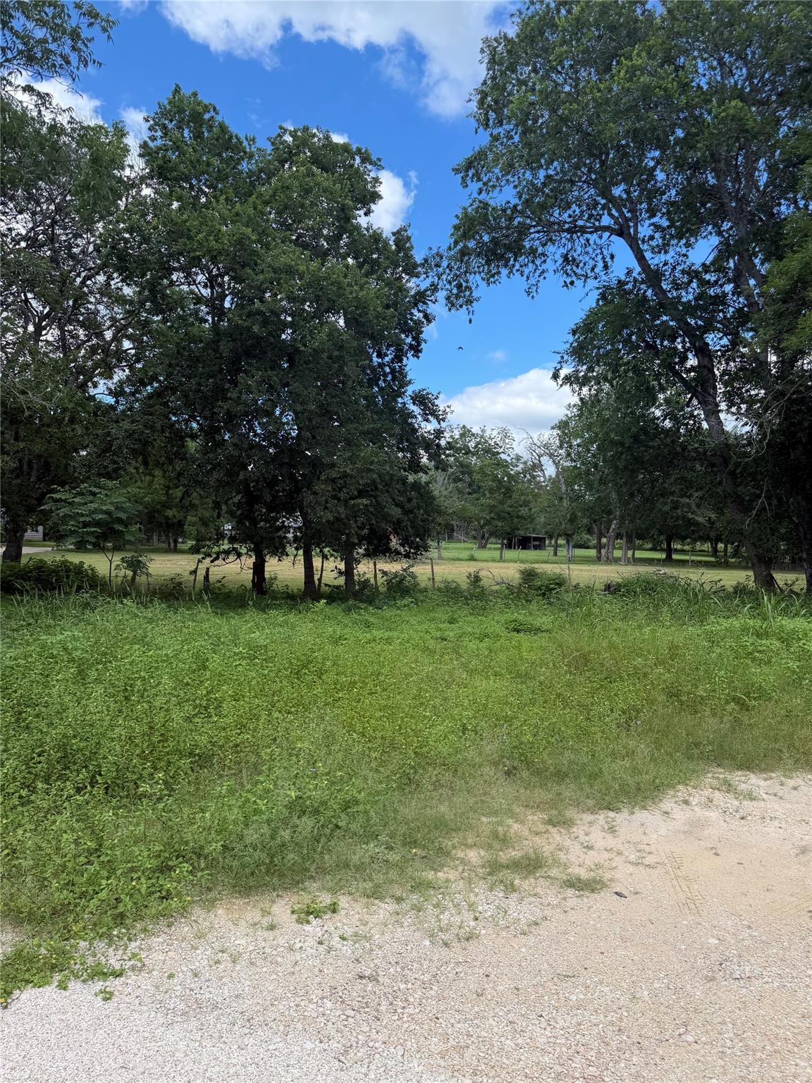 A tranquil, undeveloped lot awaits your vision, f