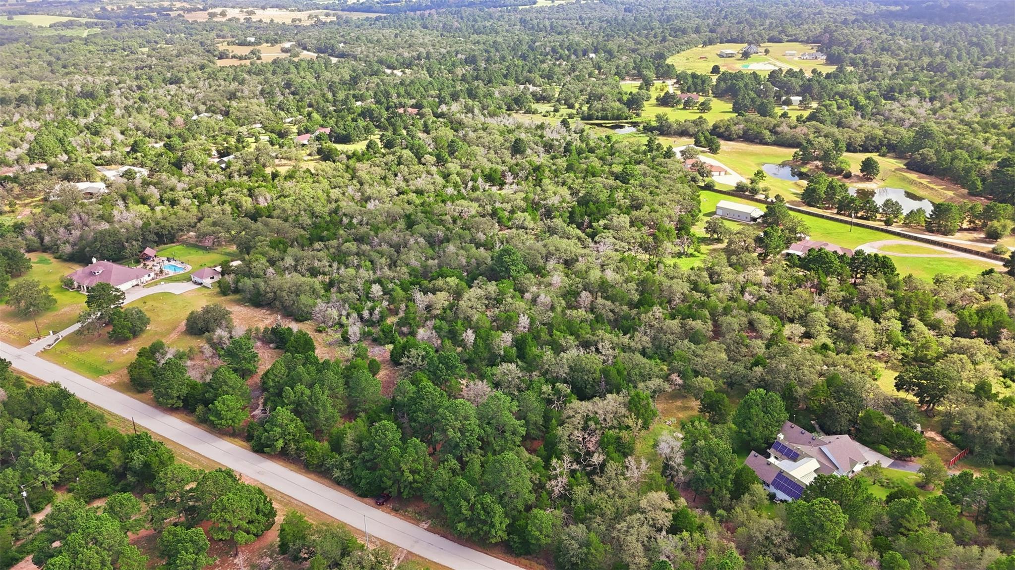 An aerial perspective reveals a vast, tree-filled