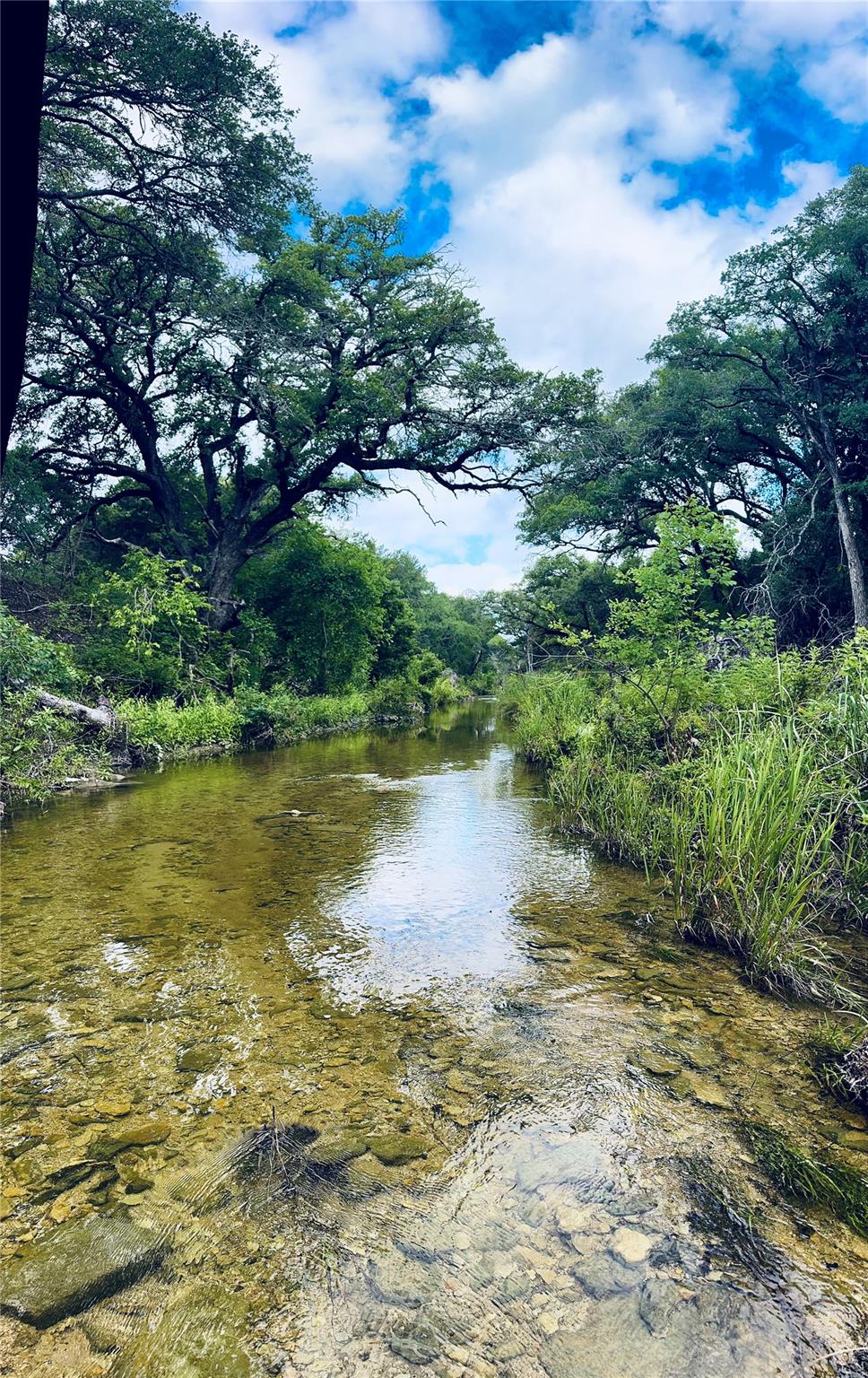 Clear waters flow through a verdant, tree-lined l