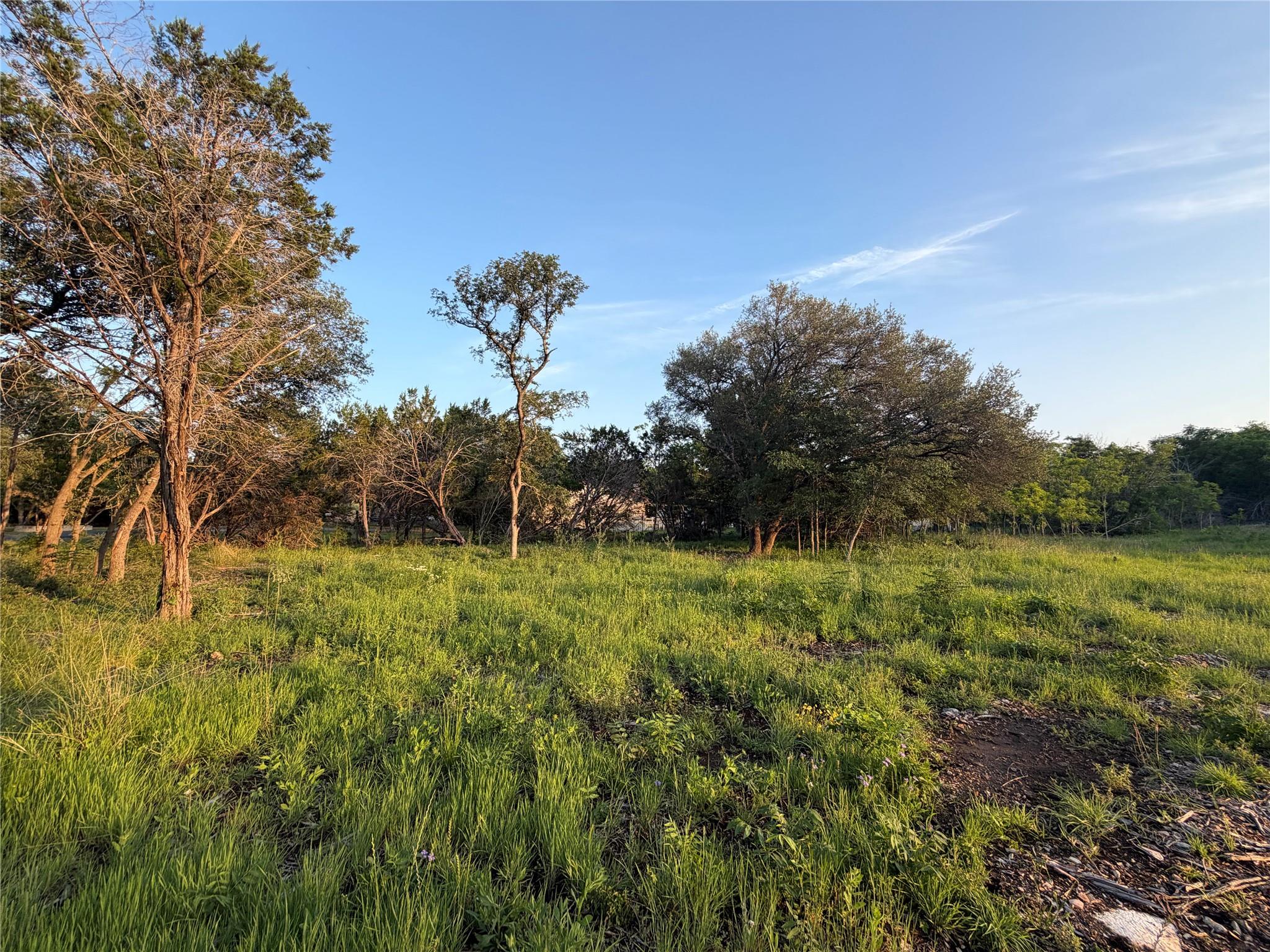 Mature trees and native grasses blanket this gene