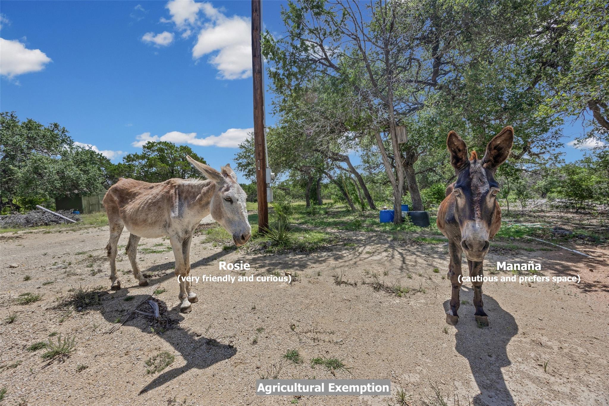 A rural setting offers an agricultural exemption,