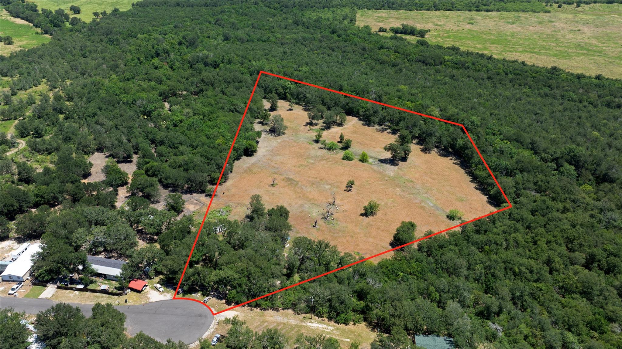 Vast, undeveloped land offering abundant trees an