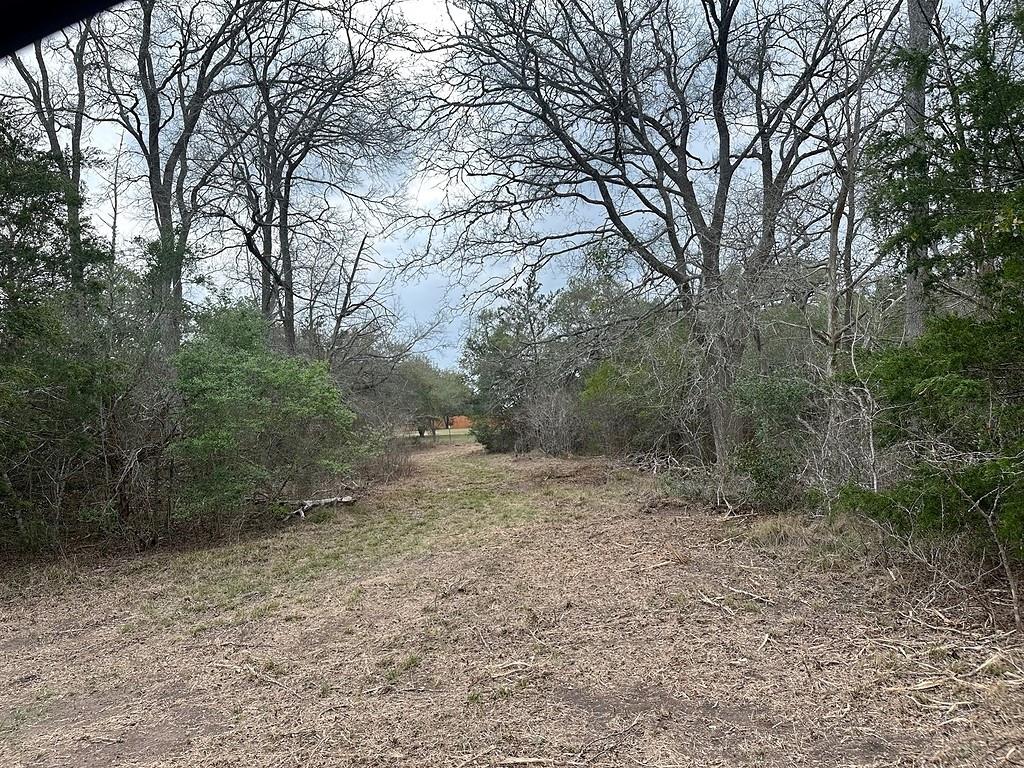 Vast natural landscaping offers a serene backdrop