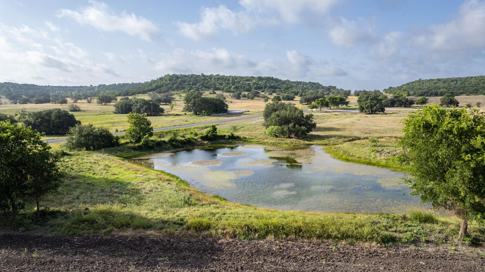A tranquil pond nestles in a verdant landscape, o