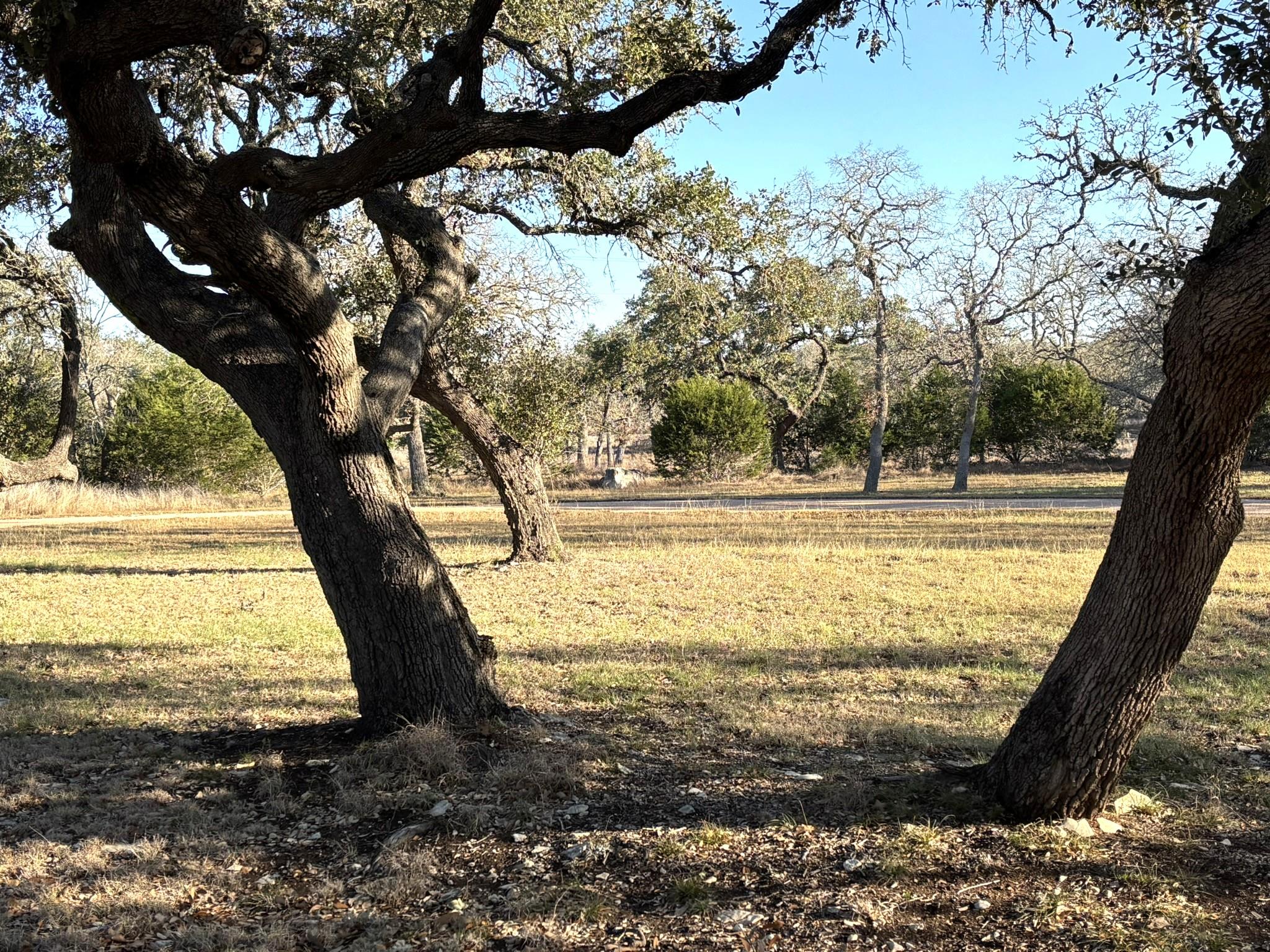 Mature trees frame an expansive lot, offering sha