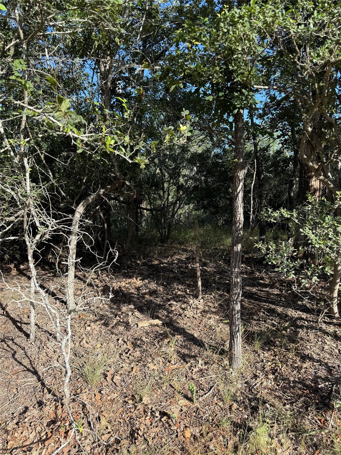 A natural, wooded lot offers privacy and a peacef