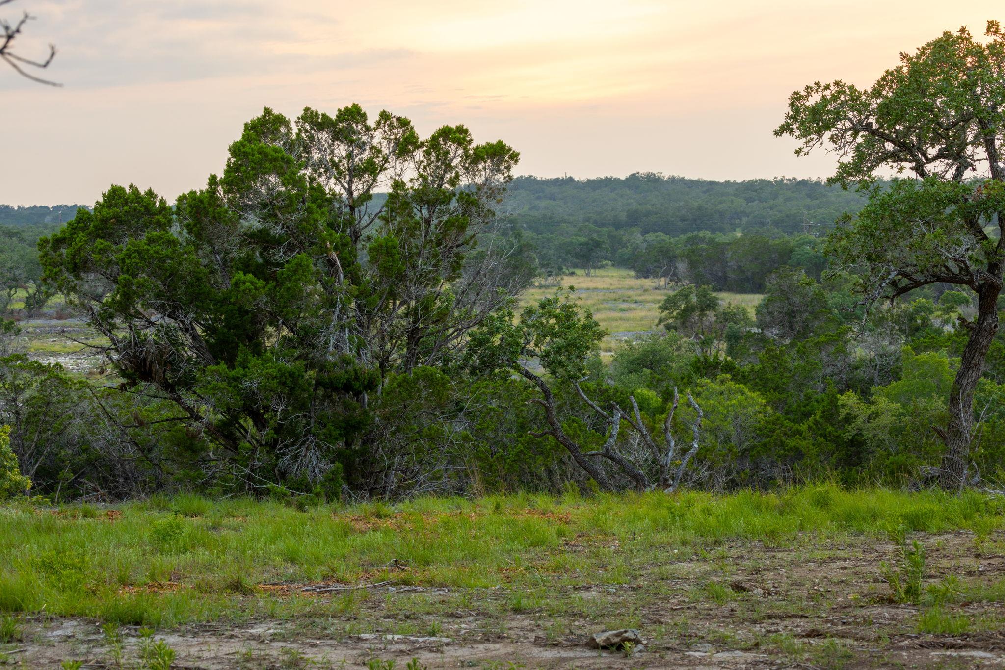 View of landscape featuring a view of trees
