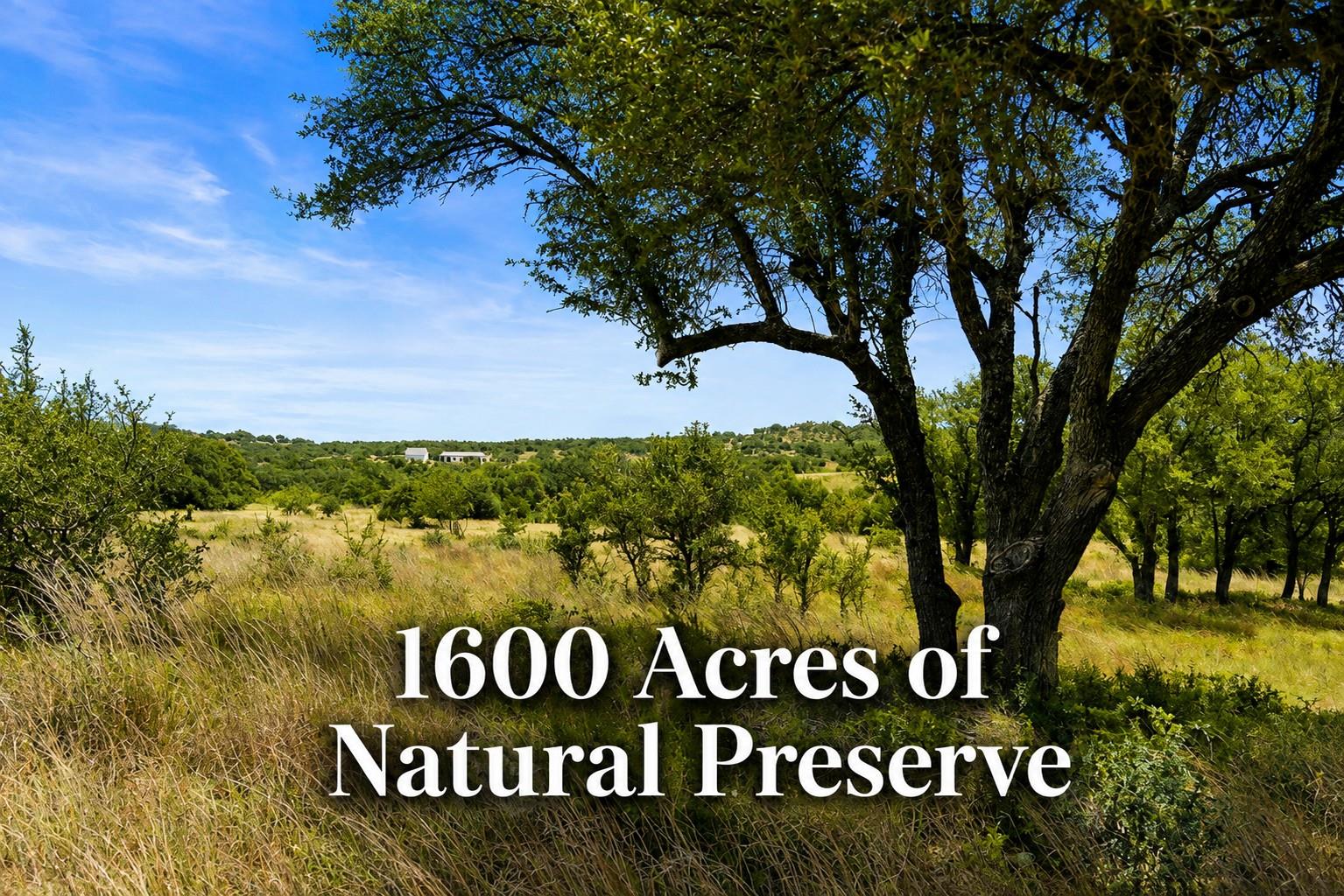 Mature shade trees frame a sprawling landscape of