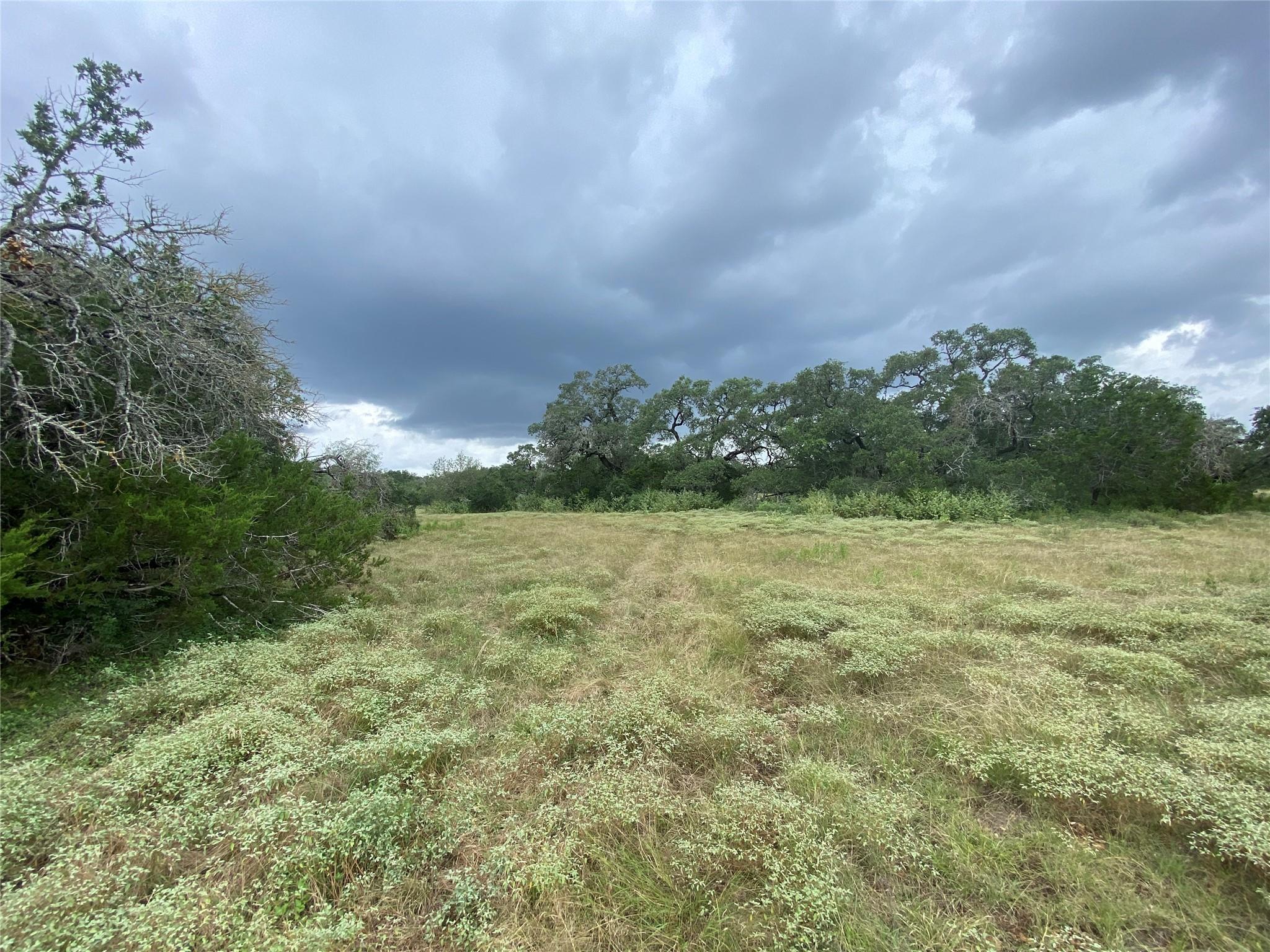 Mature trees frame a verdant field, offering a pi