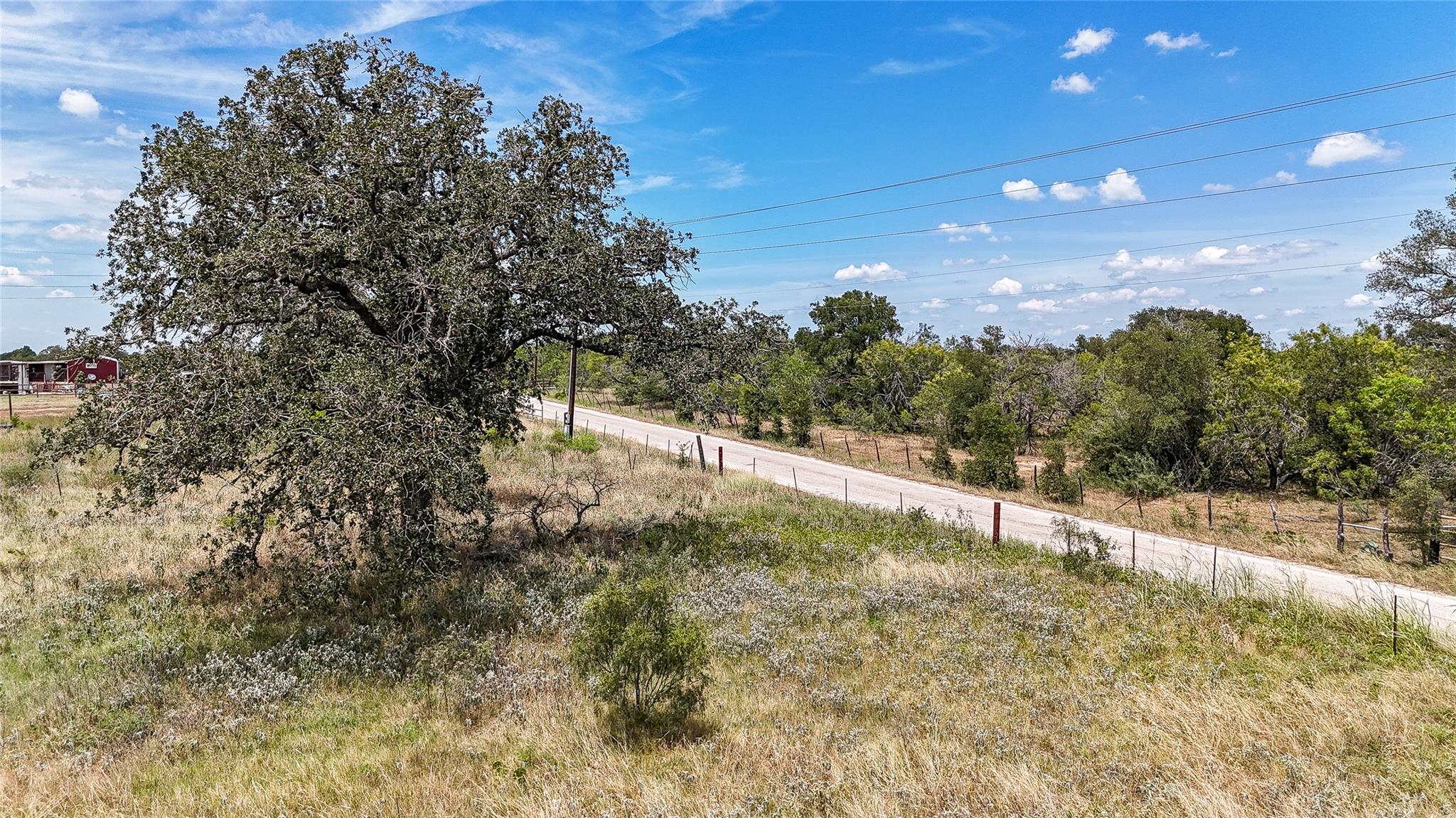 Mature trees line the roadside, framing views of 