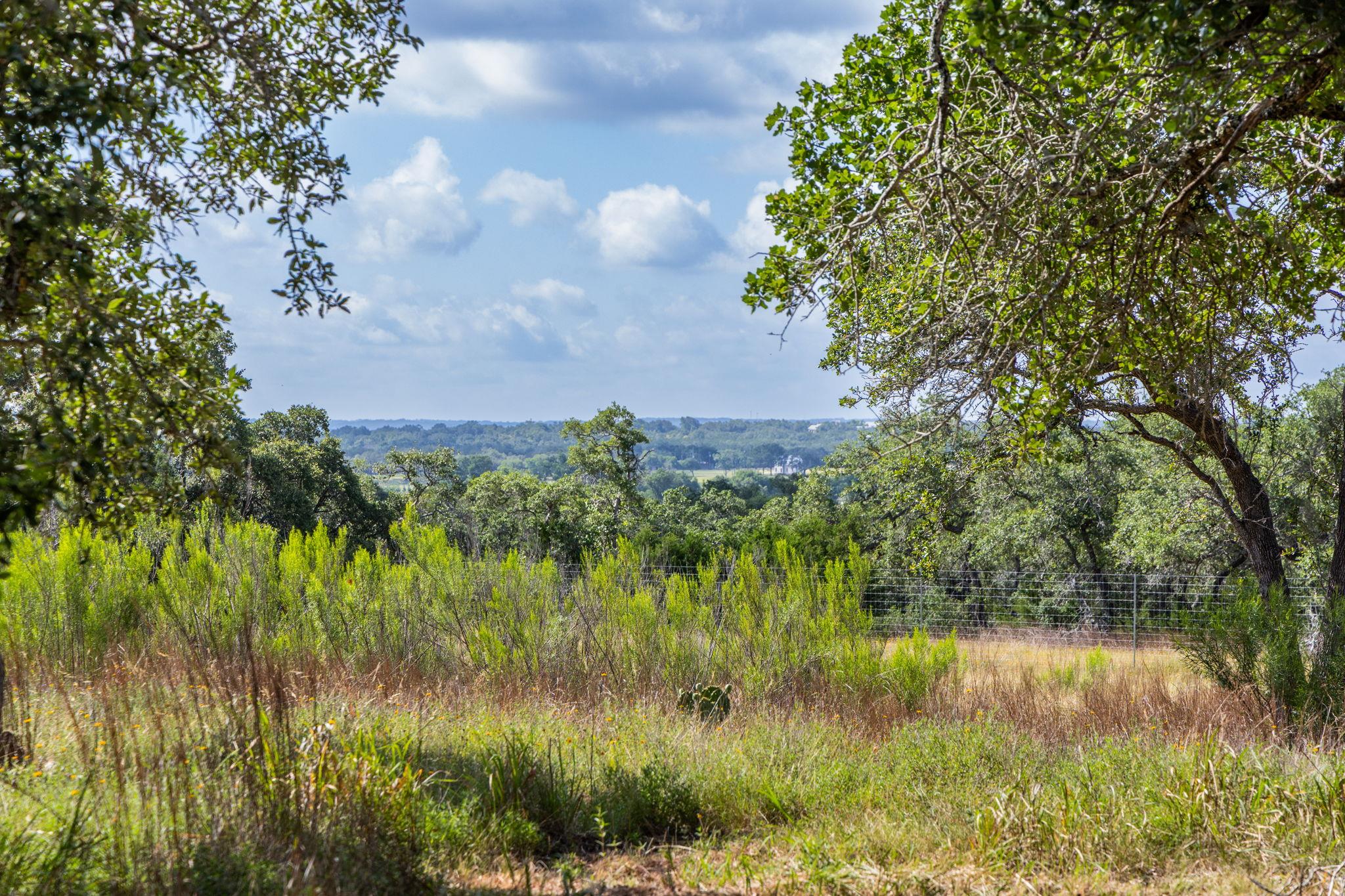 A sweeping panorama unfolds, revealing a distant 
