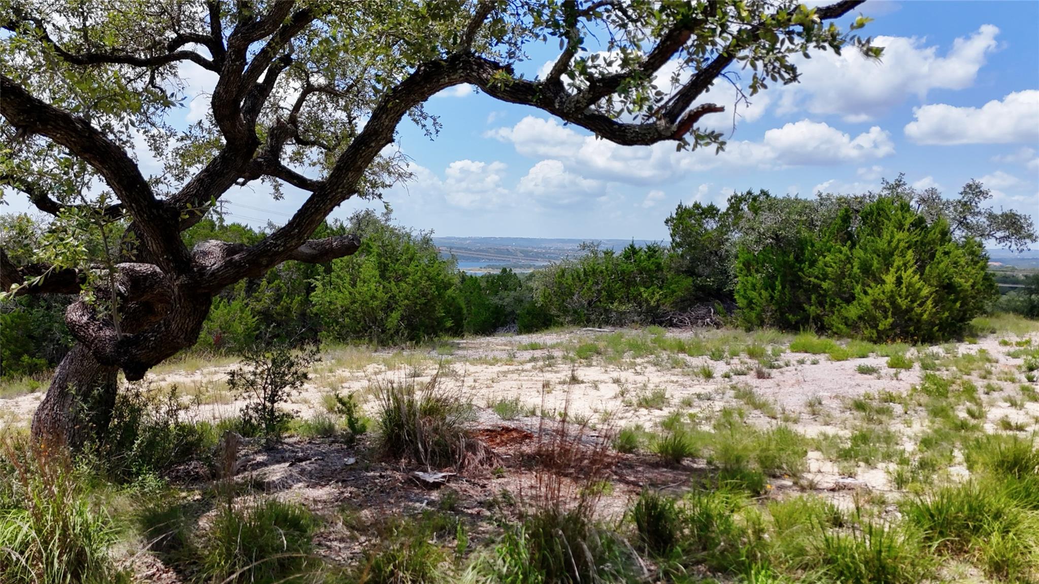 A tranquil undeveloped lot offers a clear canvas 