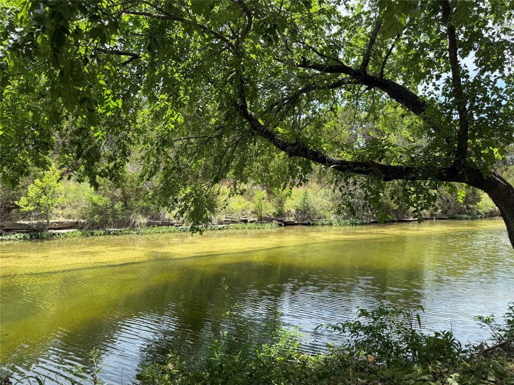 A tranquil lakeside setting with lush greenery pr