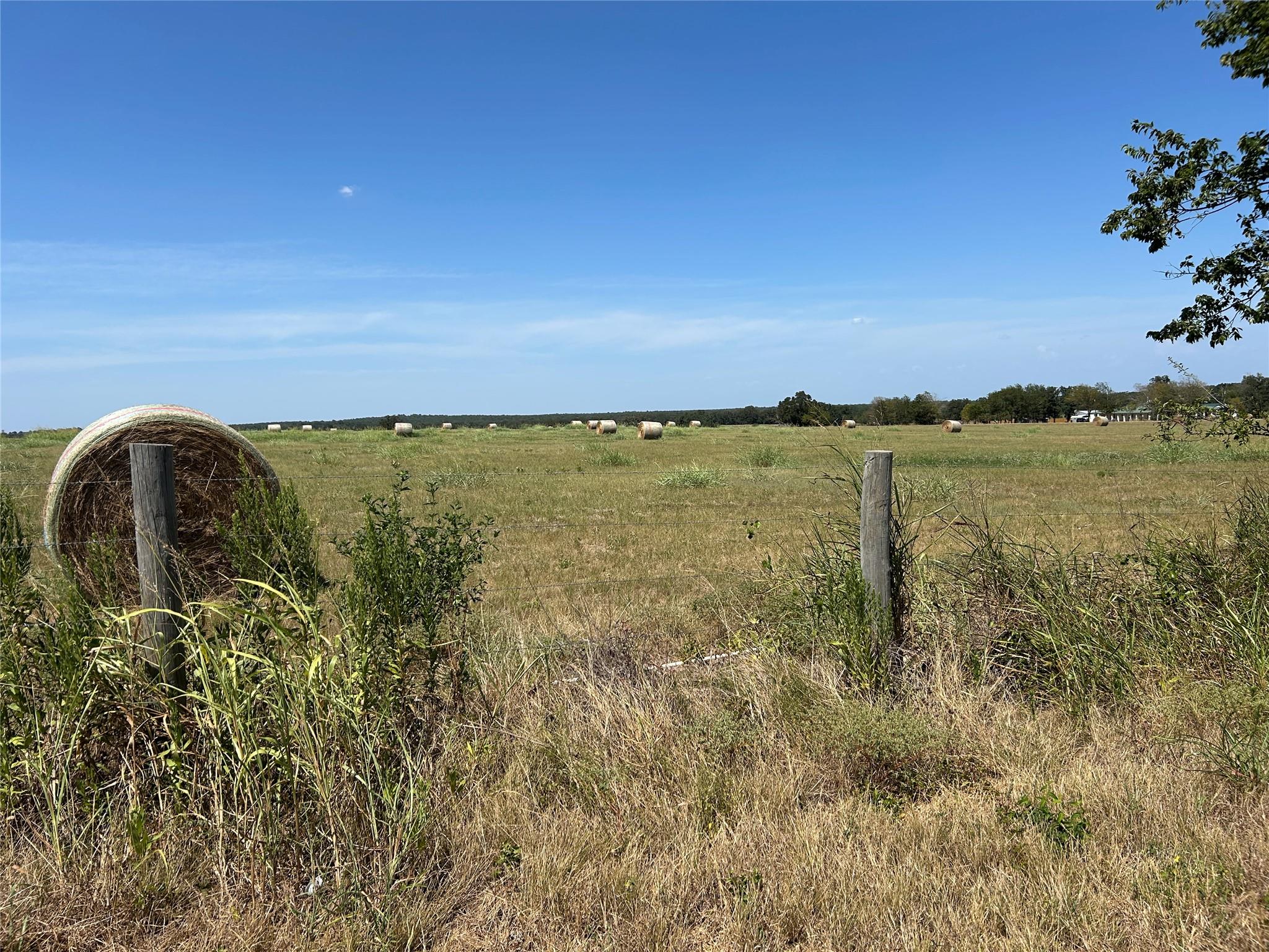 A rustic fence line borders an open pasture dotte