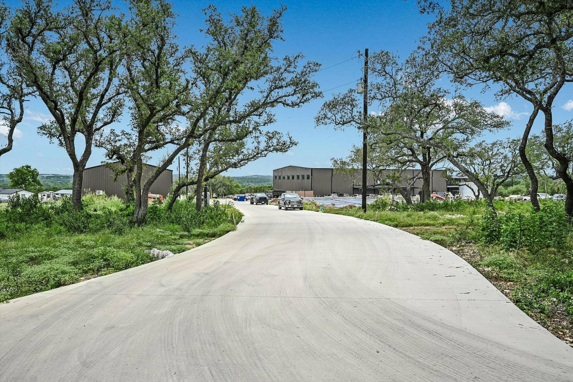 A sweeping concrete drive leads through mature tr