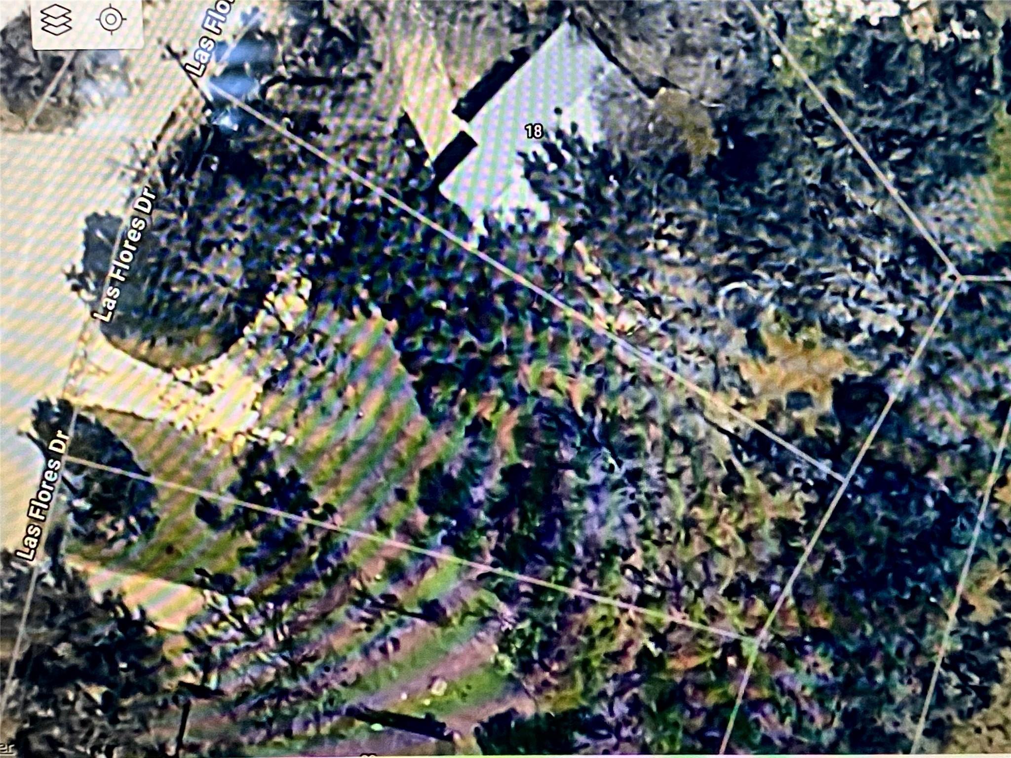 An aerial perspective reveals a generously treed 