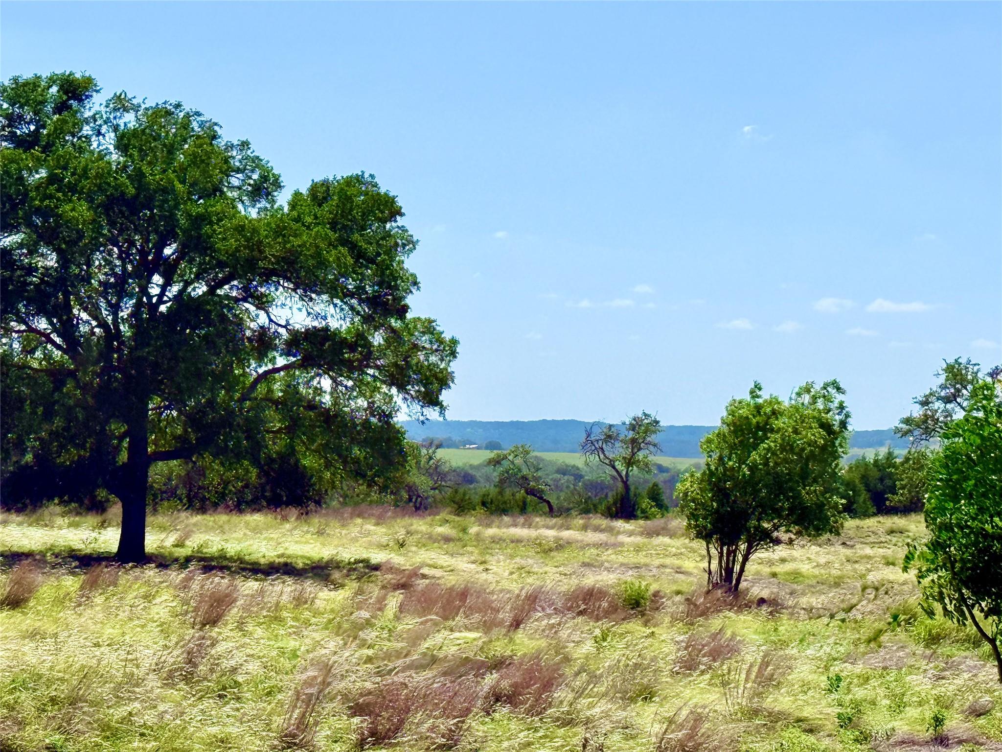A tranquil, rolling meadow bordered by mature tre