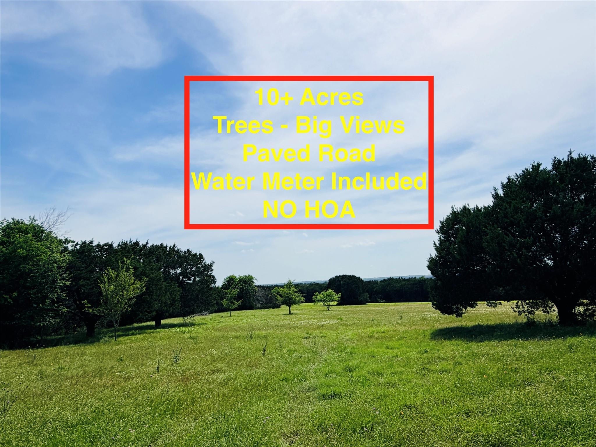 A verdant, open field with scattered trees offers
