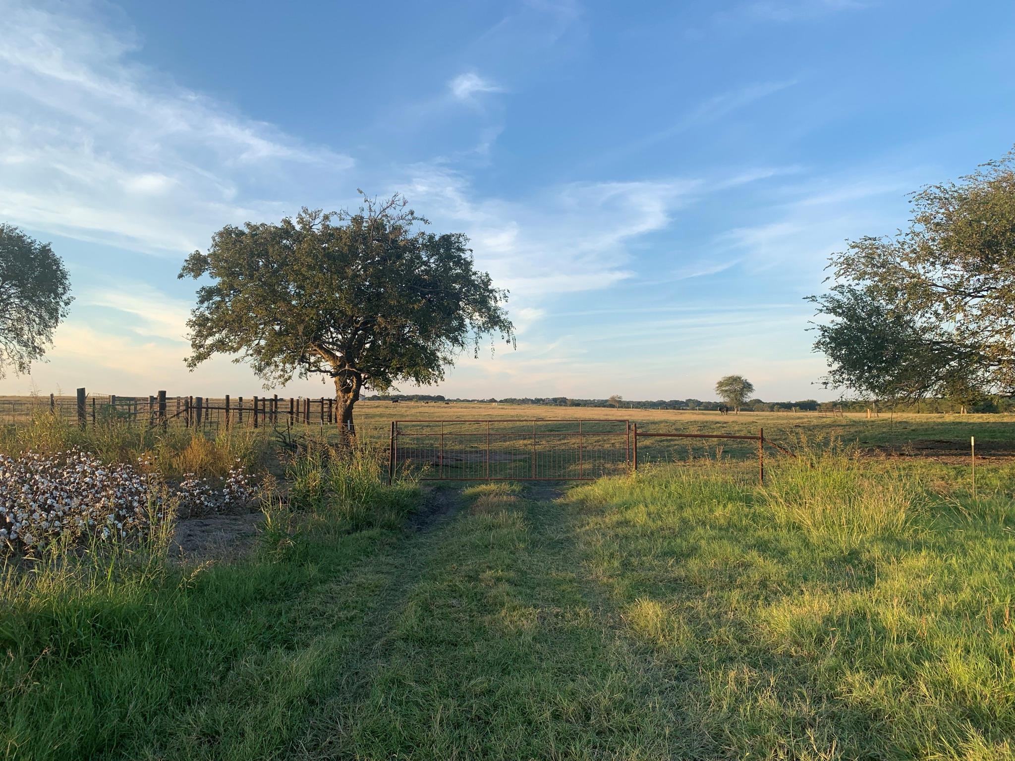 A tranquil, sprawling pasture awaits, framed by m