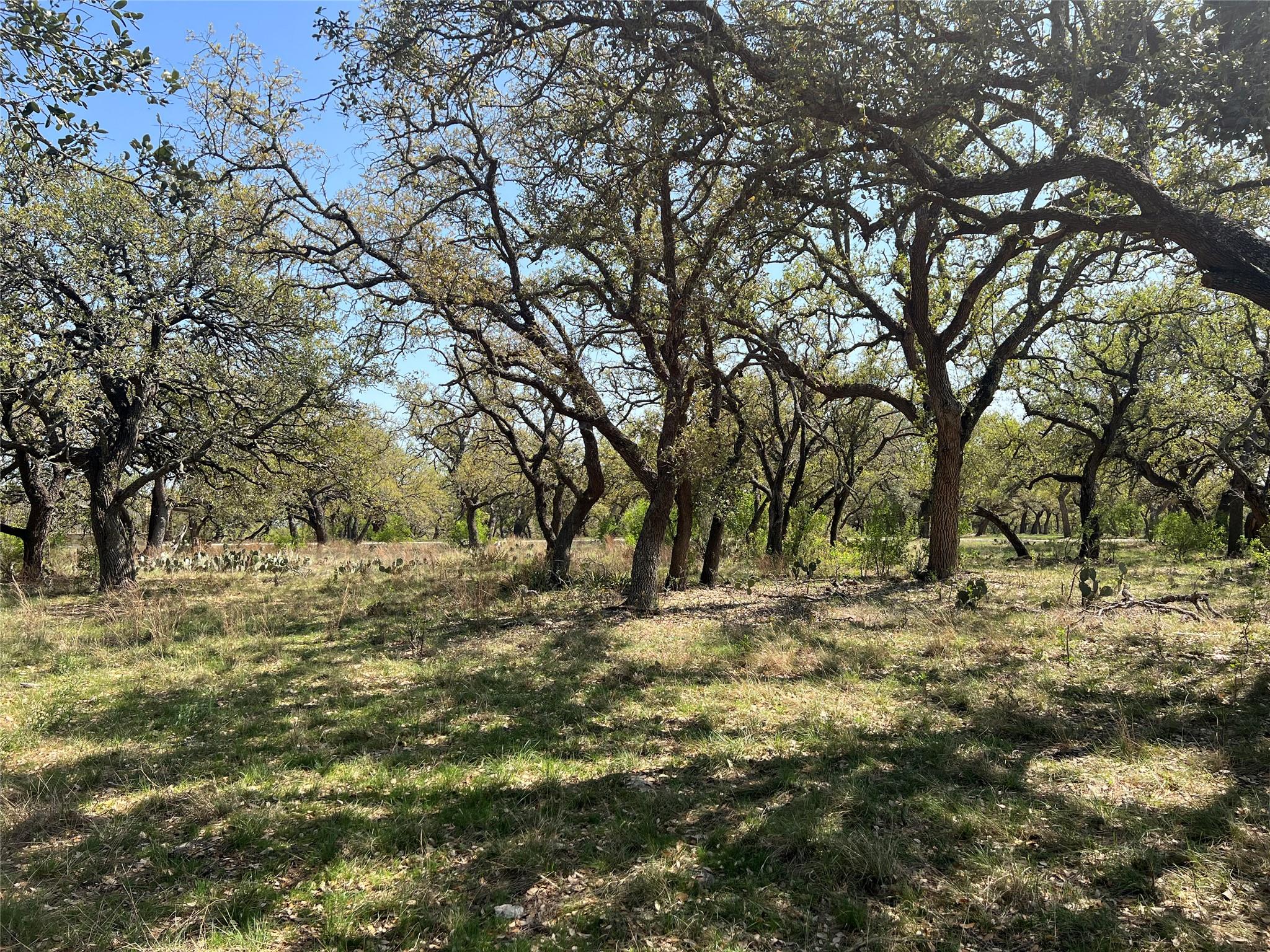 Listing photo 1 of Lot 43  Waterbuck Way