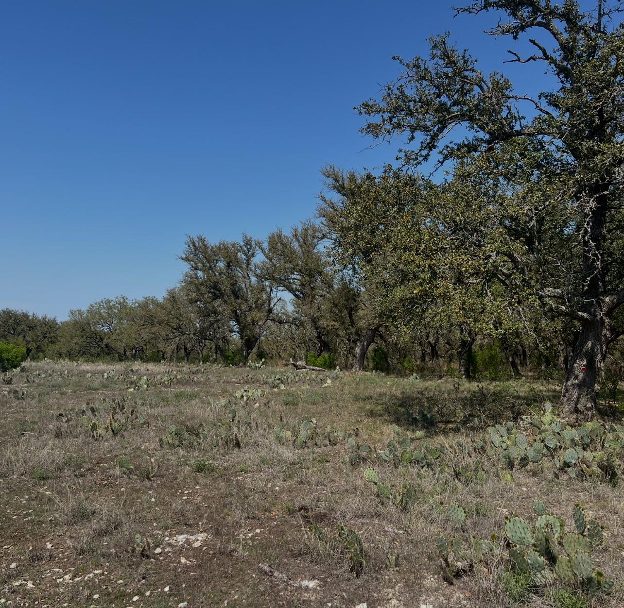 Listing photo 1 of Lot 42  Waterbuck Way