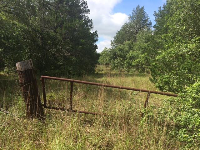 A rustic fence gate opens into a verdant field, f