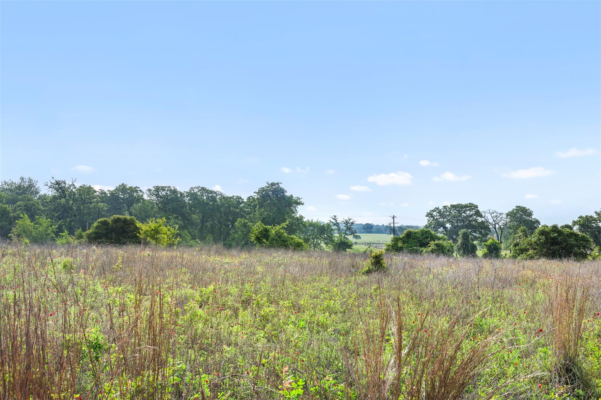 Cultivate your future on this verdant, expansive 