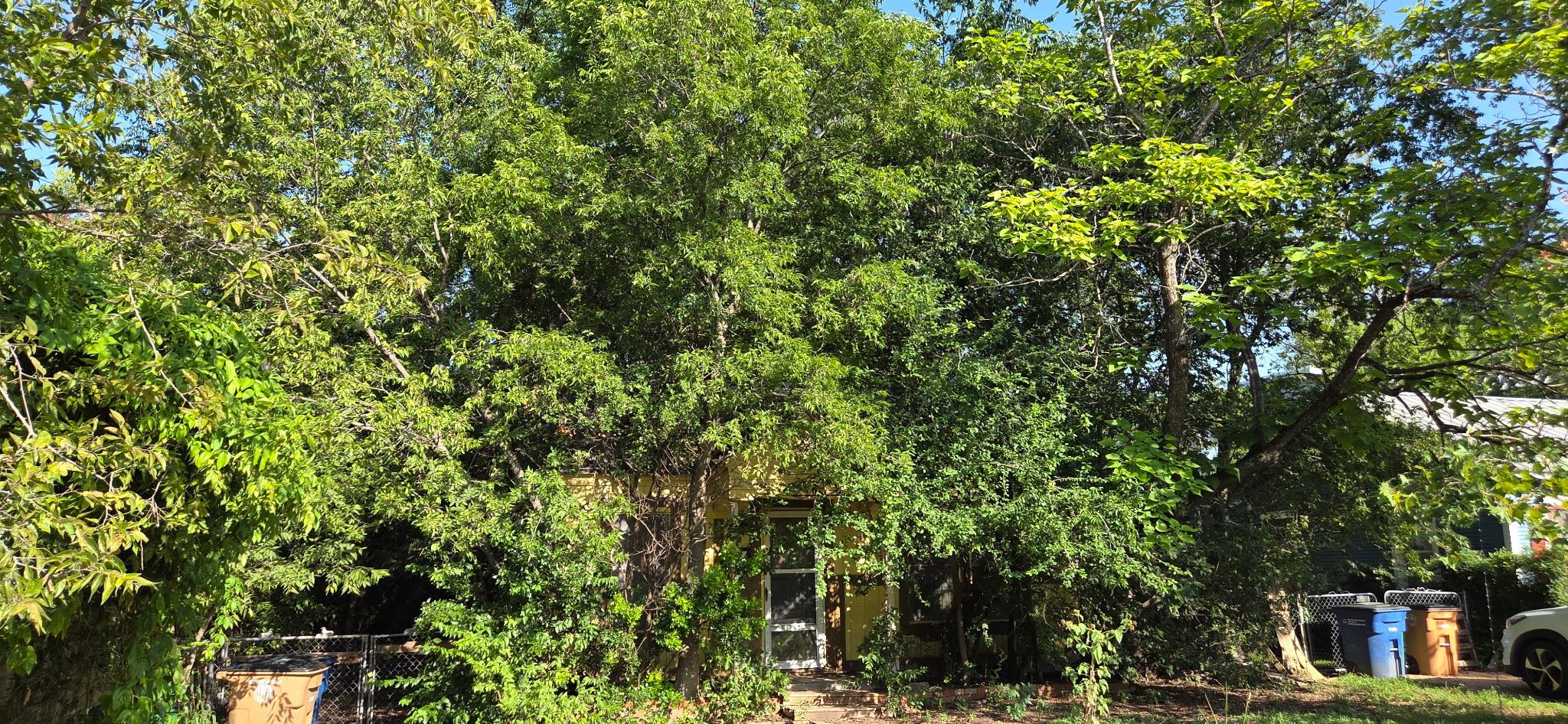 Mature trees and lush greenery envelope this home