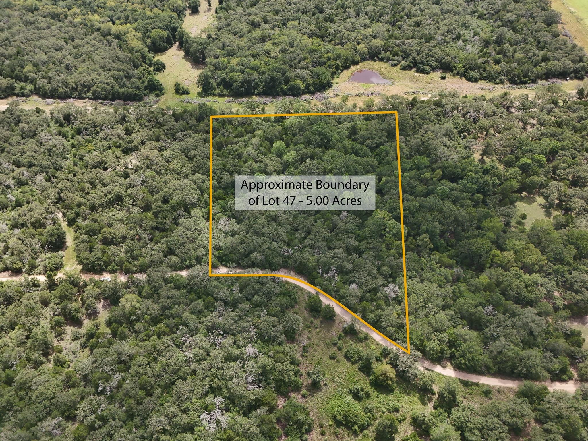 A tranquil 5-acre lot with a natural tree canopy 