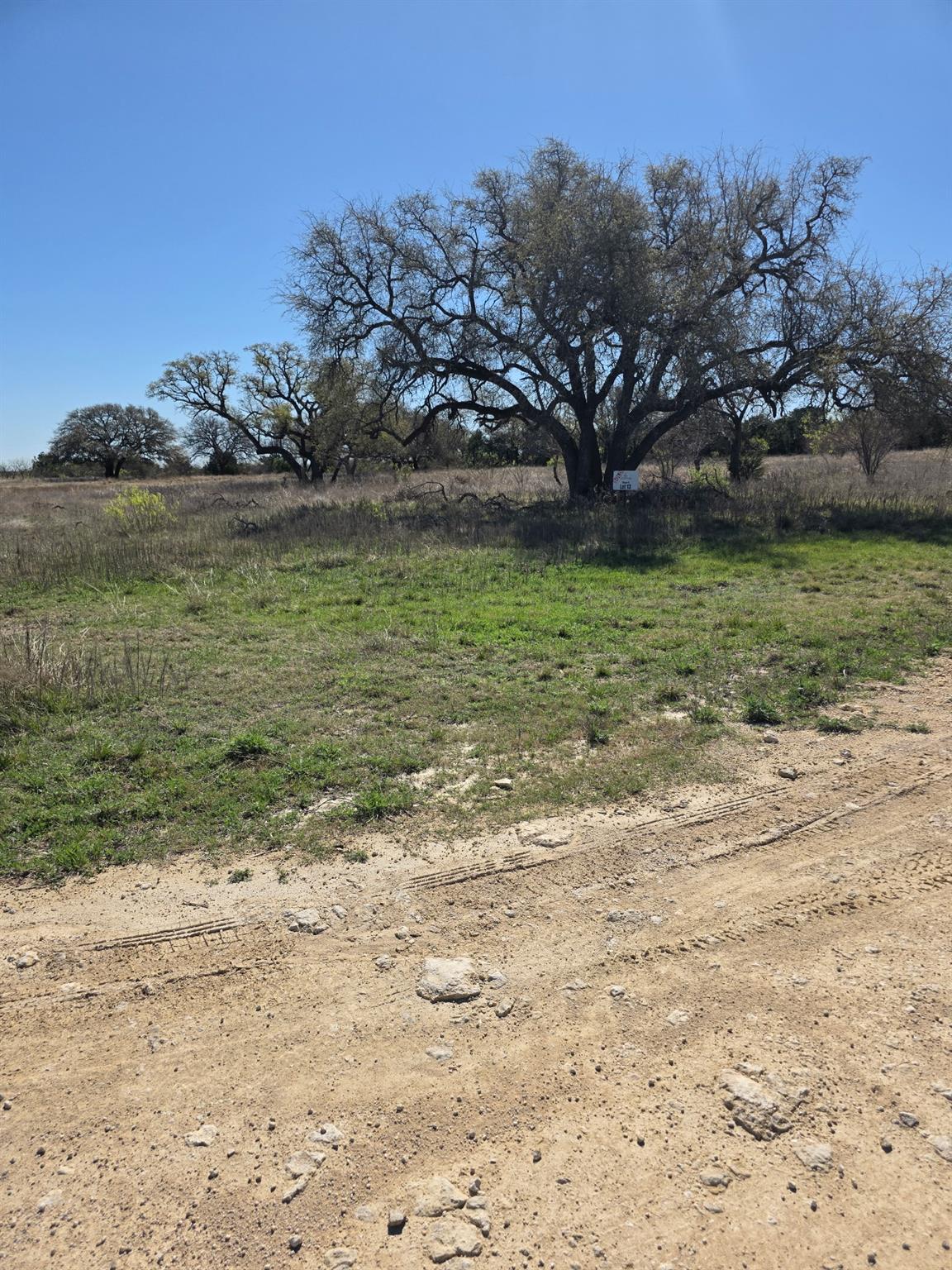 A spacious, undeveloped lot awaits your vision, f