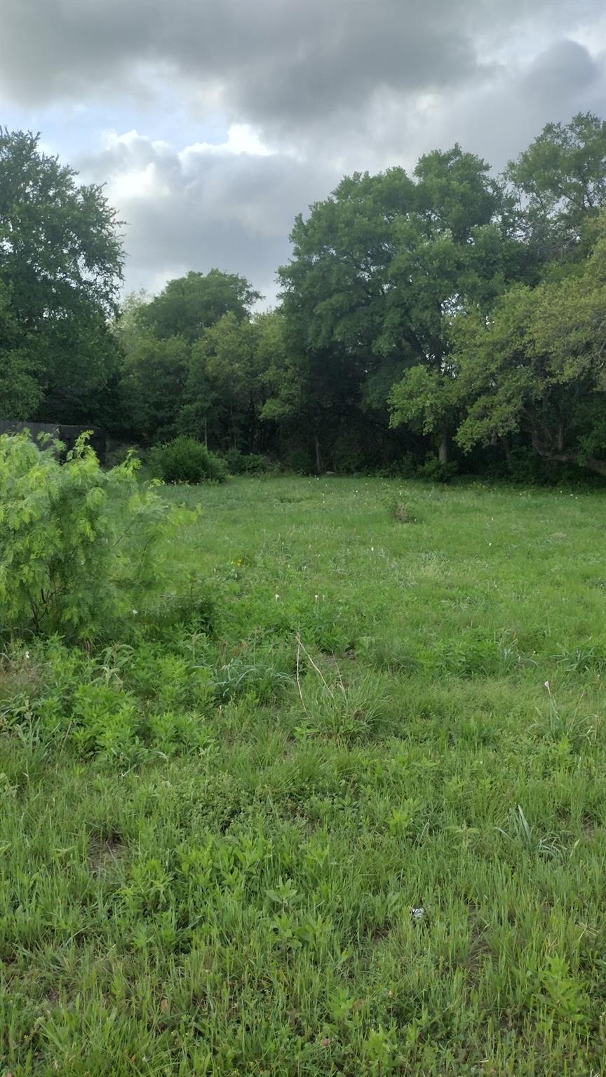 A verdant, open lot surrounded by mature trees, o