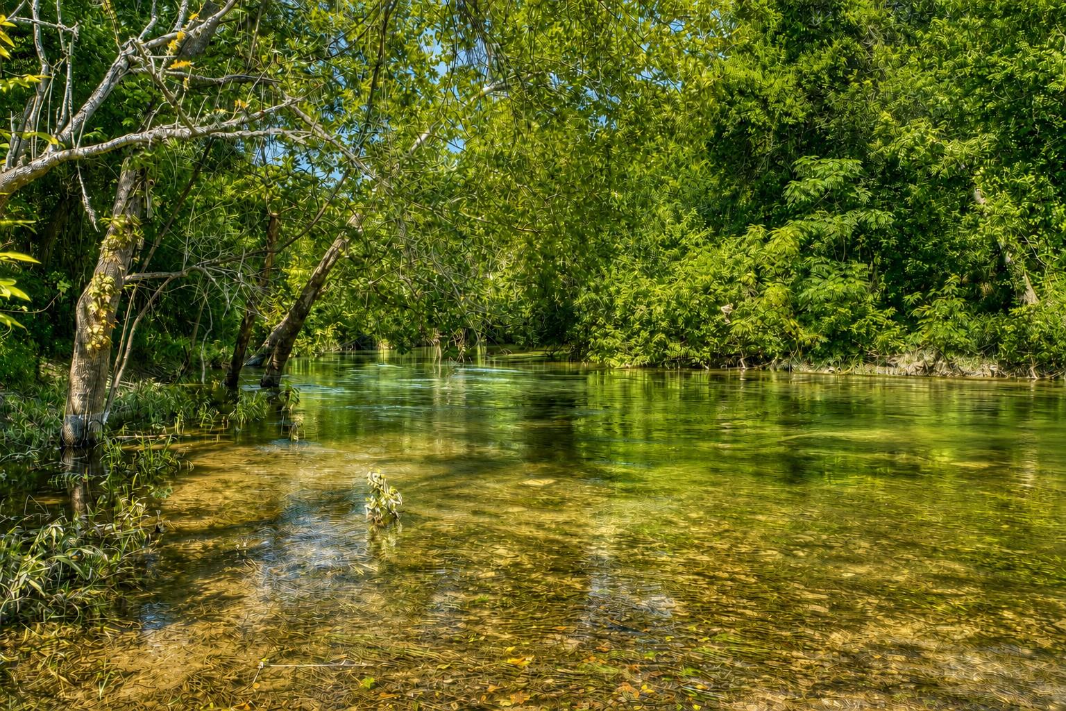 Listing photo 1 of 1498  Elmer King Rd
