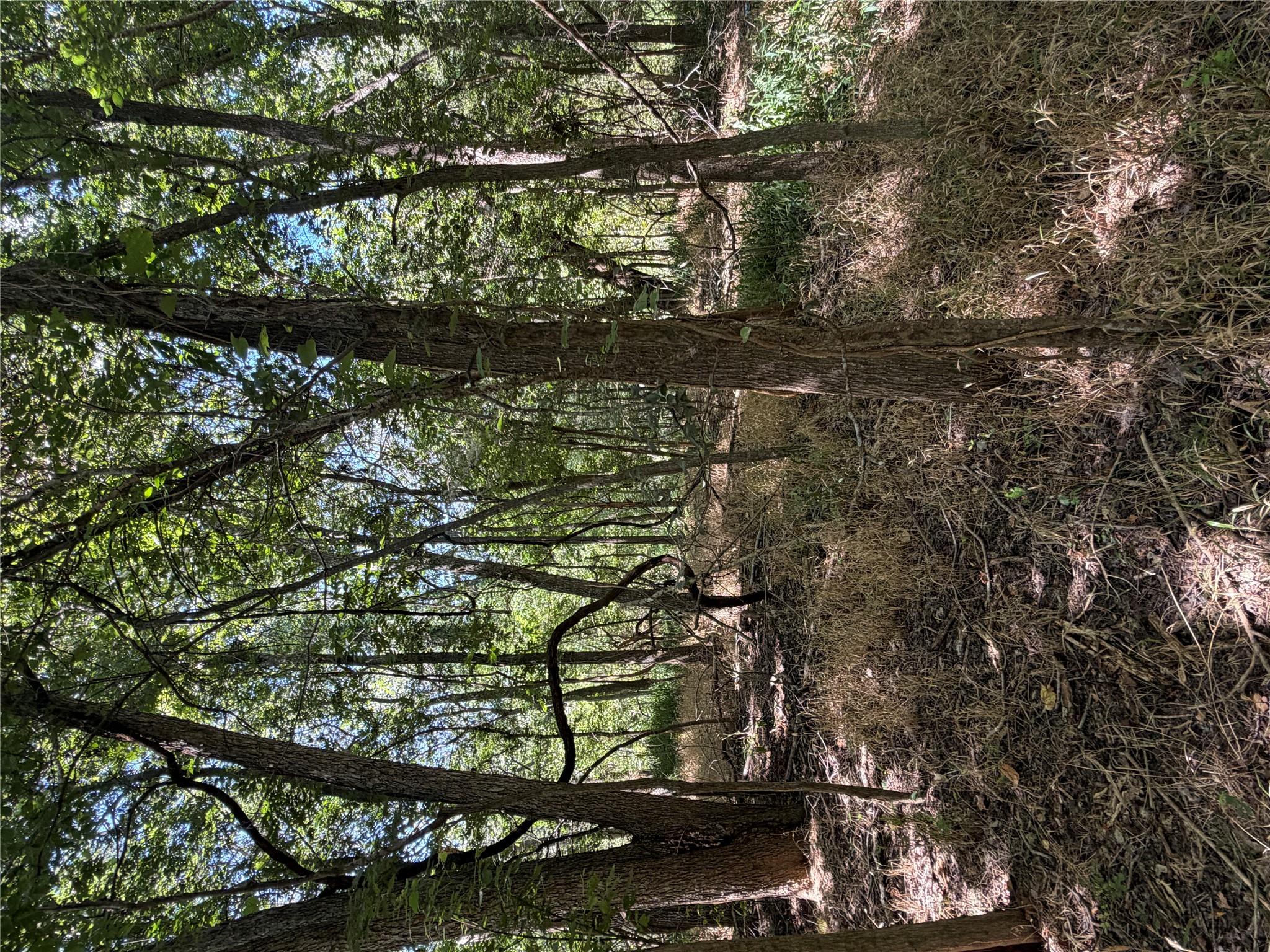 An untamed, woodsy landscape offers a tranquil na
