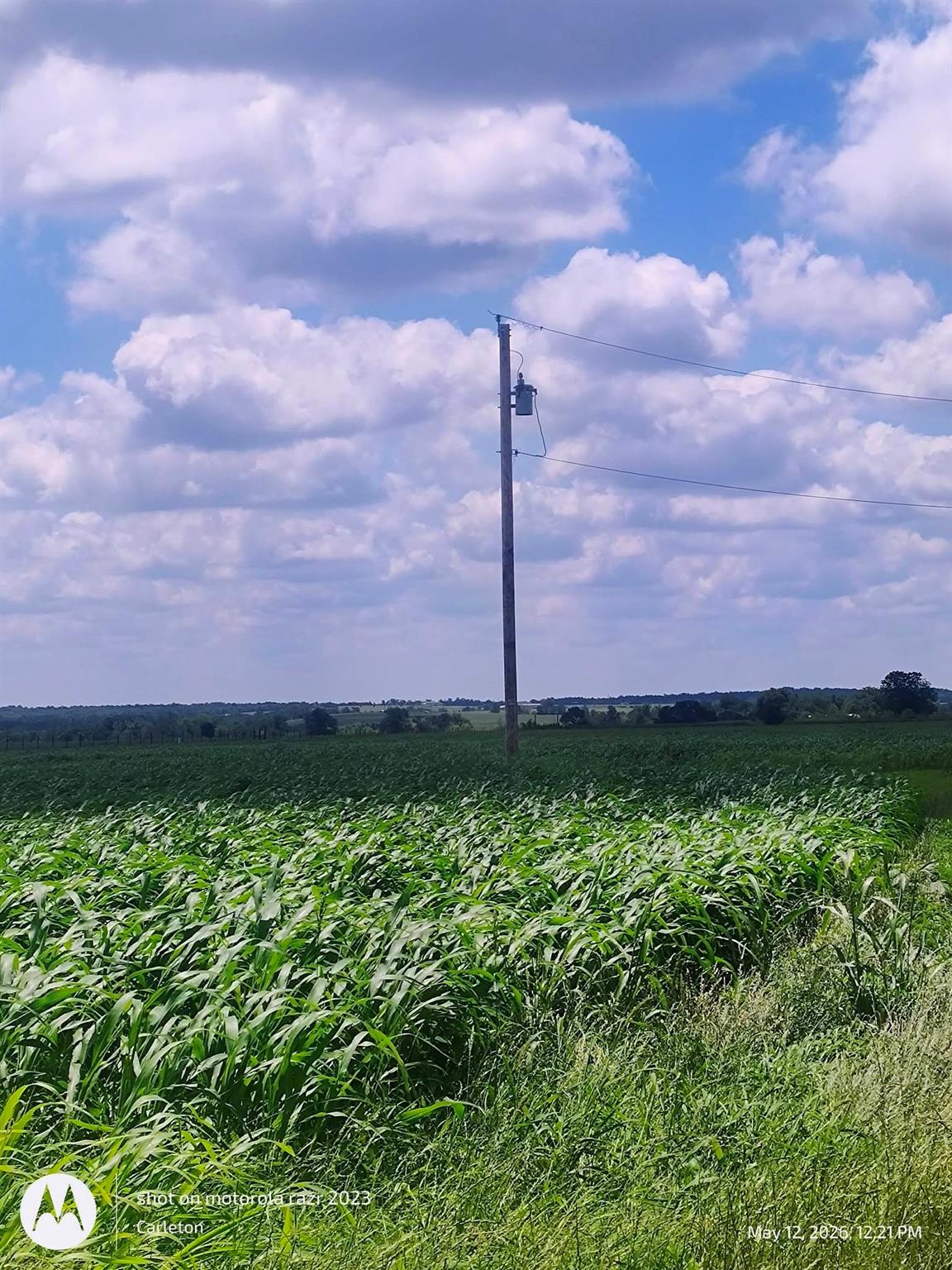 A verdant field stretches under a bright sky with