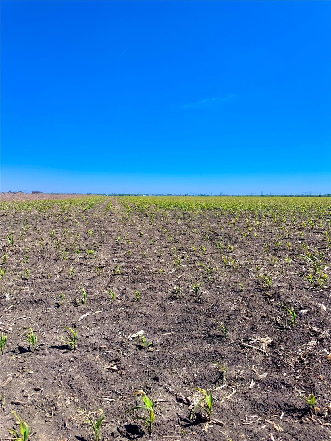 Cultivated land stretching towards the horizon of