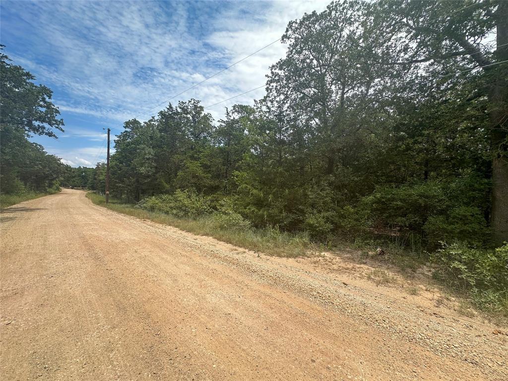 A tranquil, tree-lined dirt road beckons with the