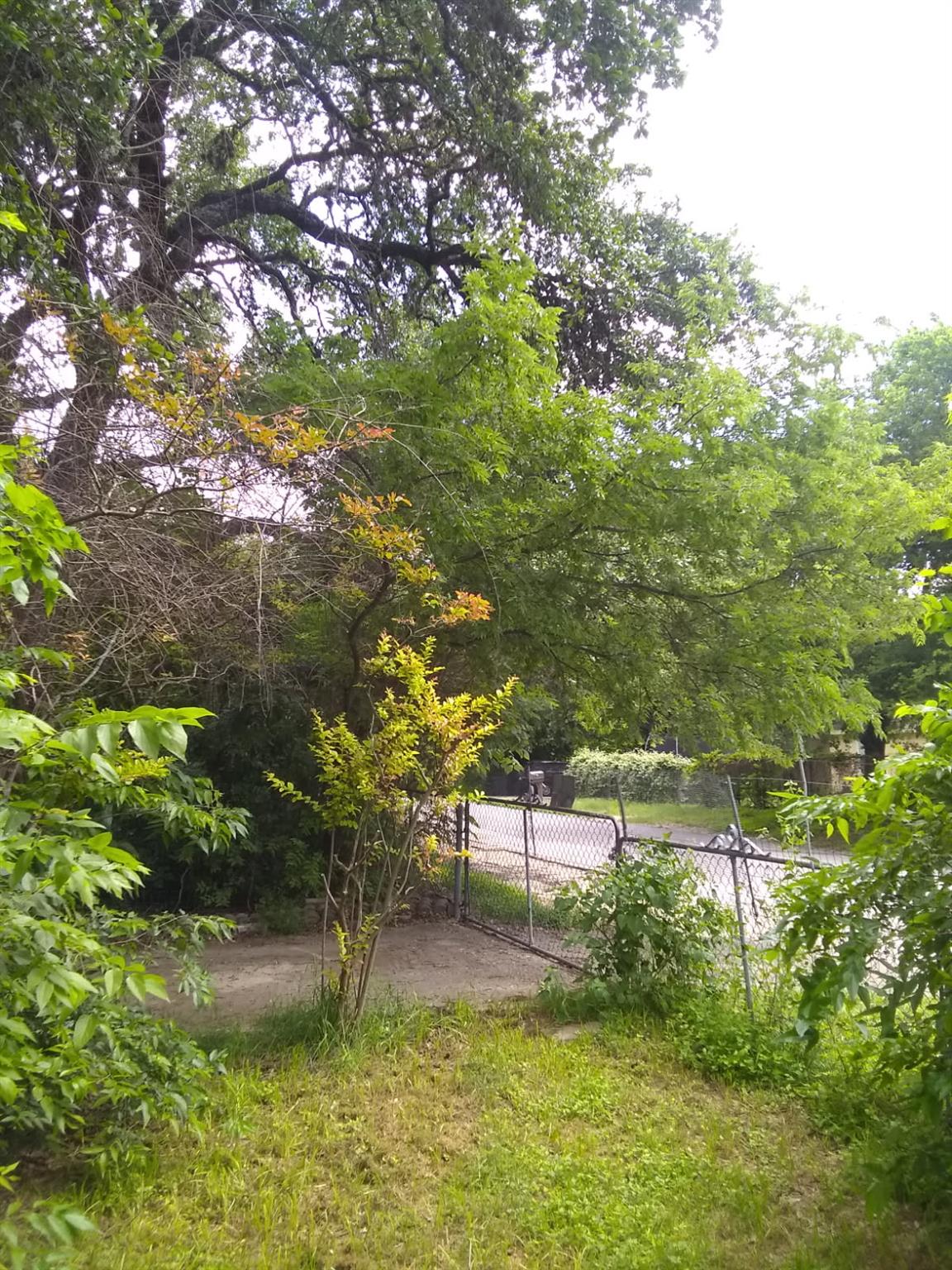 Mature trees shade a grassy yard secured by metal