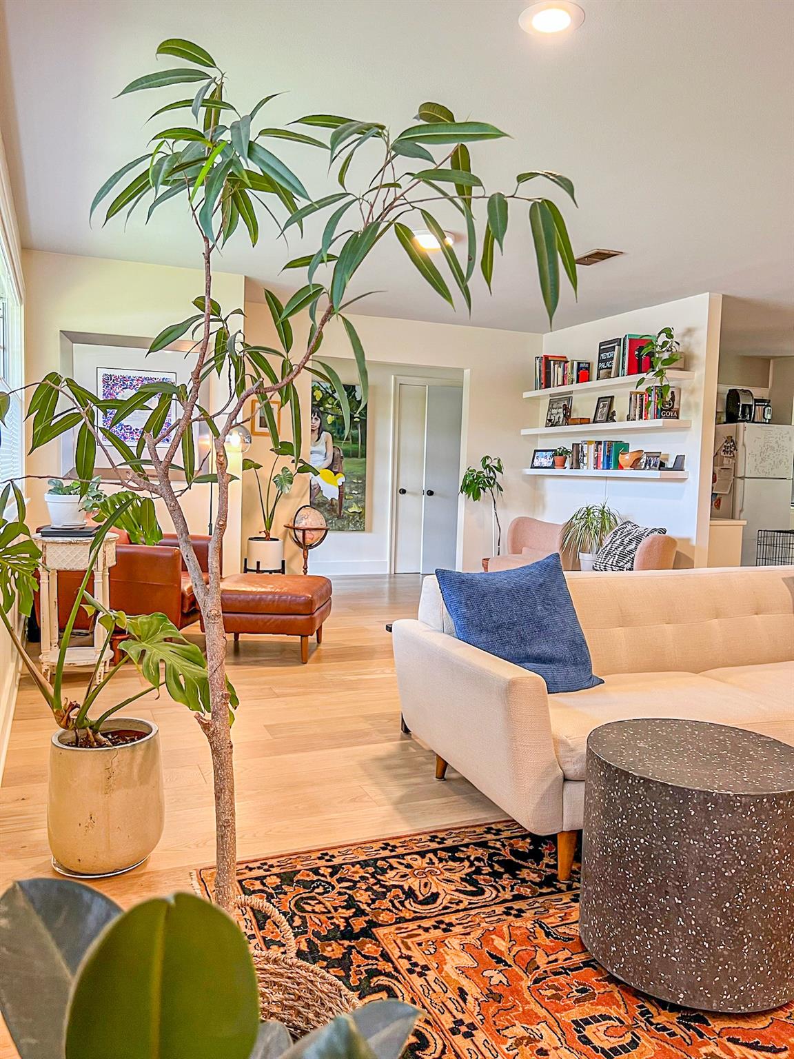 Blonde wood flooring and an inviting area rug cre