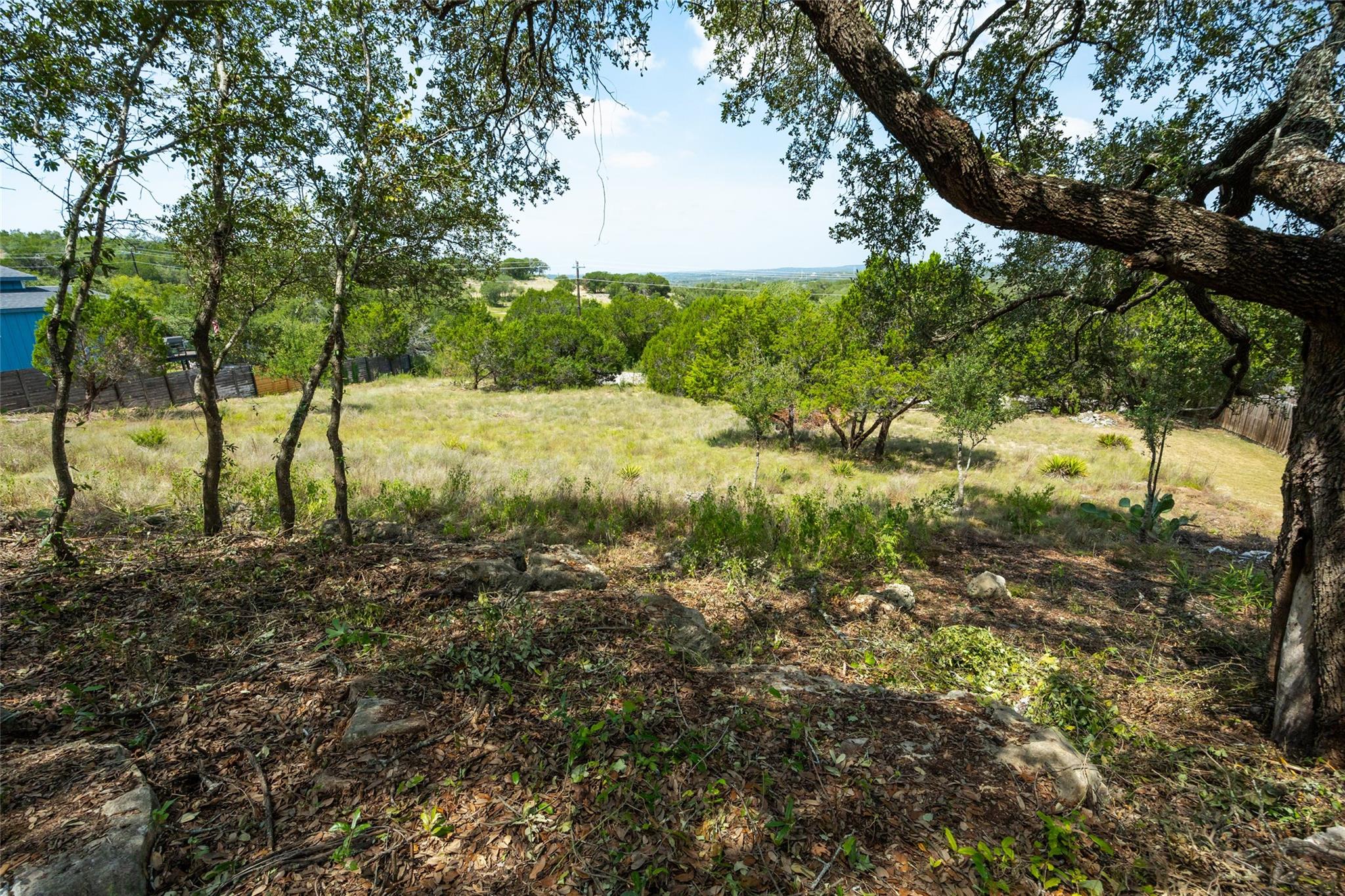 Vast, verdant grounds with mature trees and dista