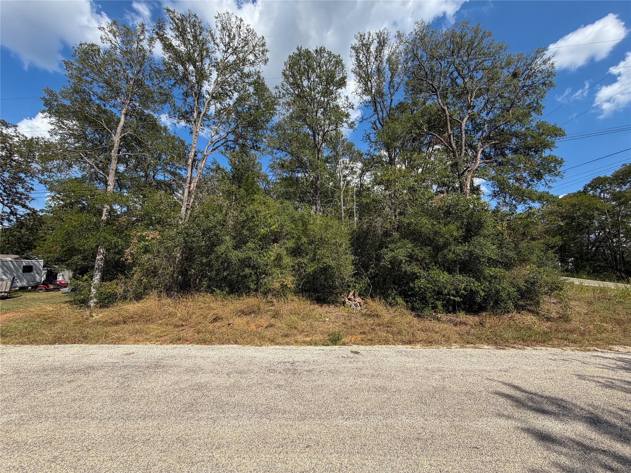 Mature trees frame this verdant lot, offering a n