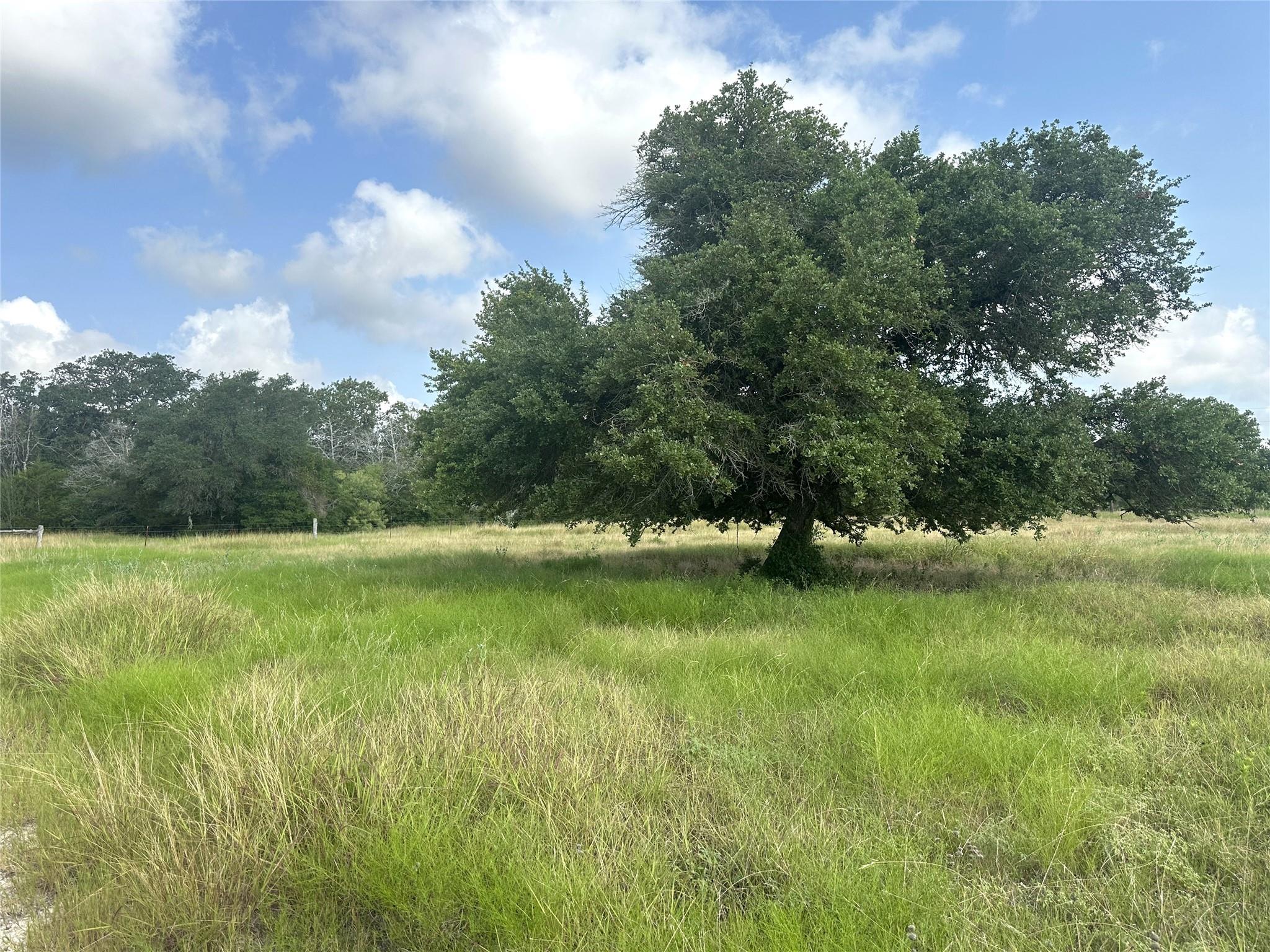 Listing photo 1 of 8345  Farm To Market 2145 None
