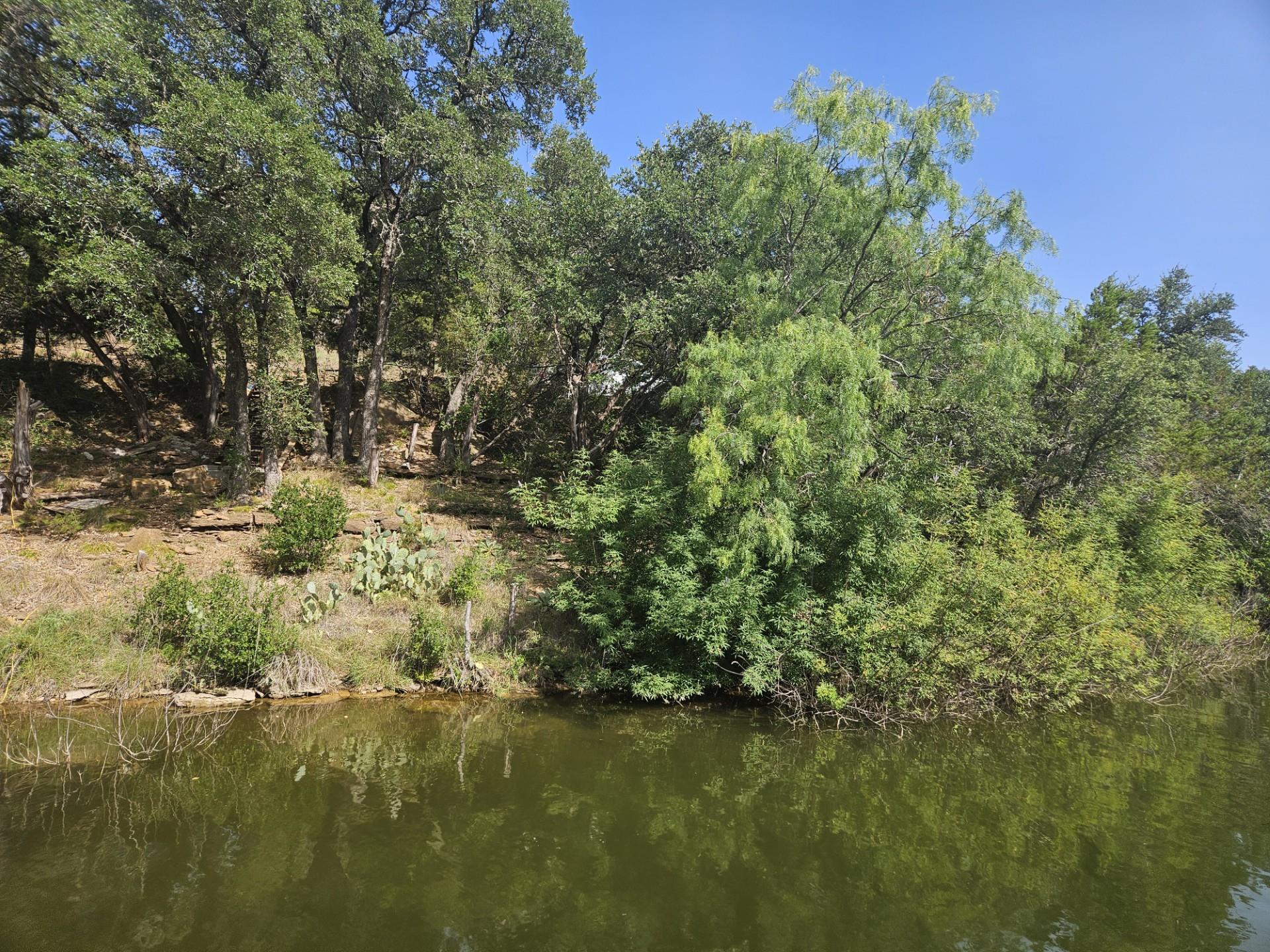 A tranquil waterfront setting with mature trees a