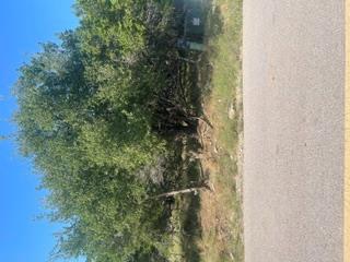 Mature trees line the perimeter of this expansive